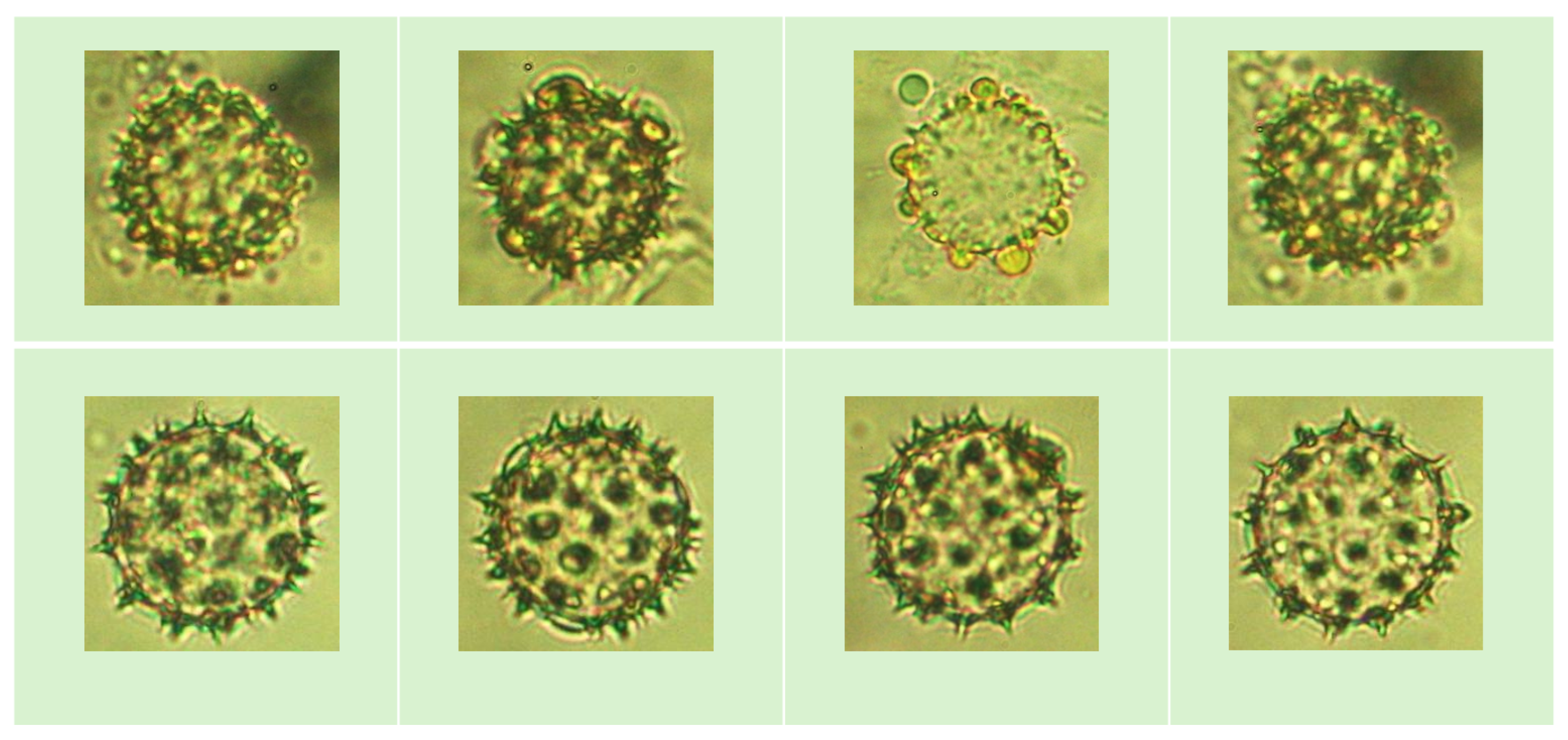 Agriengineering 07 00282 g001 Agriengineering 07 00282 g001