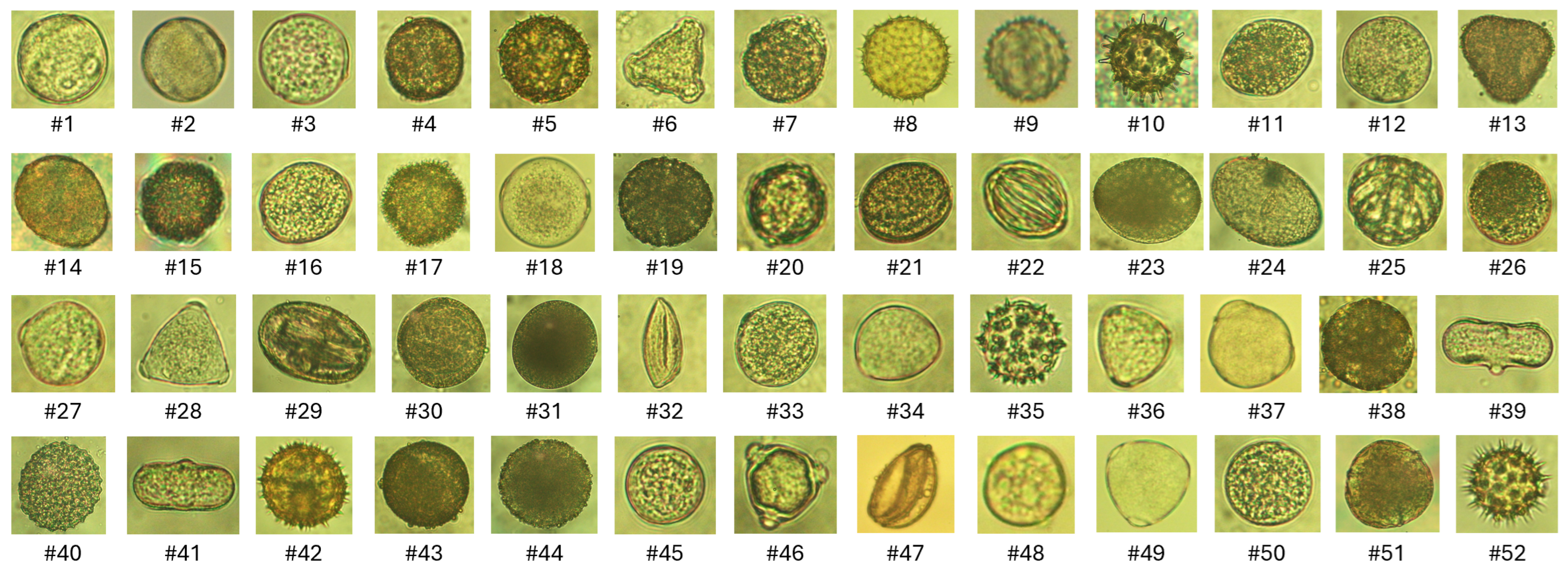 Agriengineering 07 00282 g004 Agriengineering 07 00282 g004