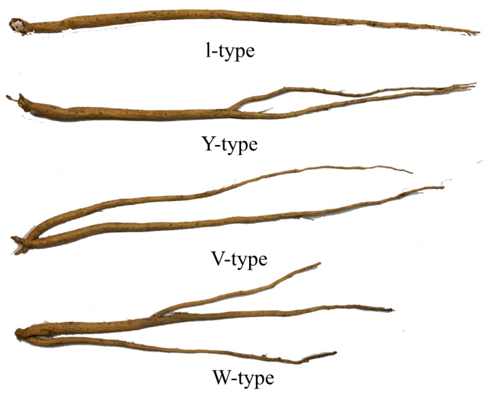 Agriengineering 07 00283 g001 Agriengineering 07 00283 g001