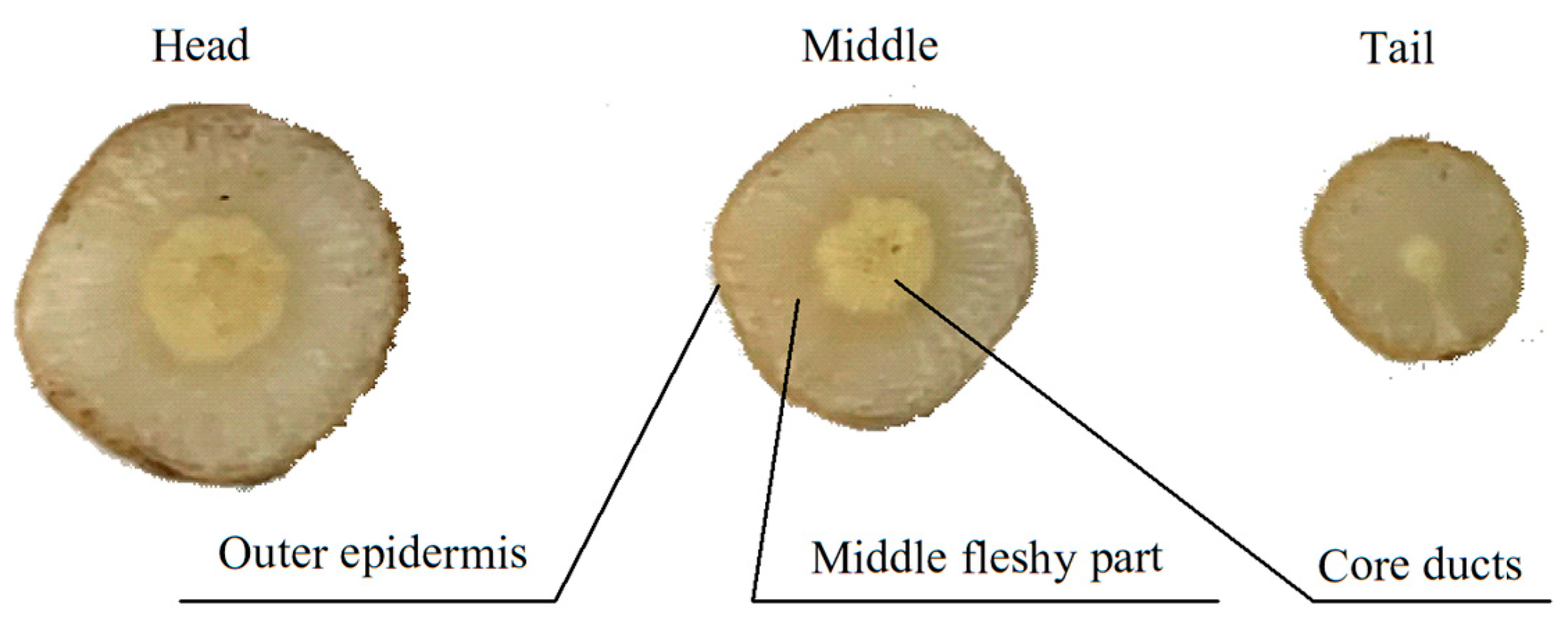 Agriengineering 07 00283 g005 Agriengineering 07 00283 g005
