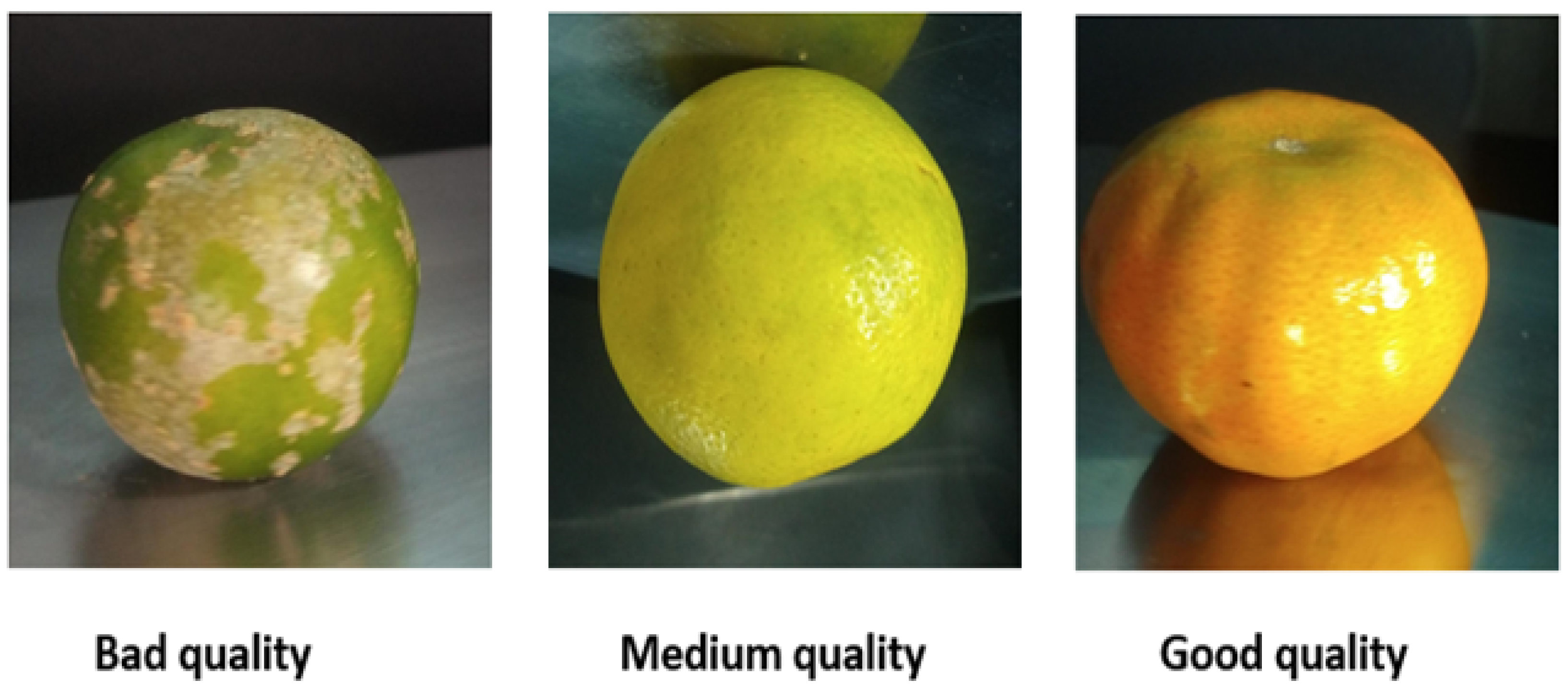 Agriengineering 07 00286 g001