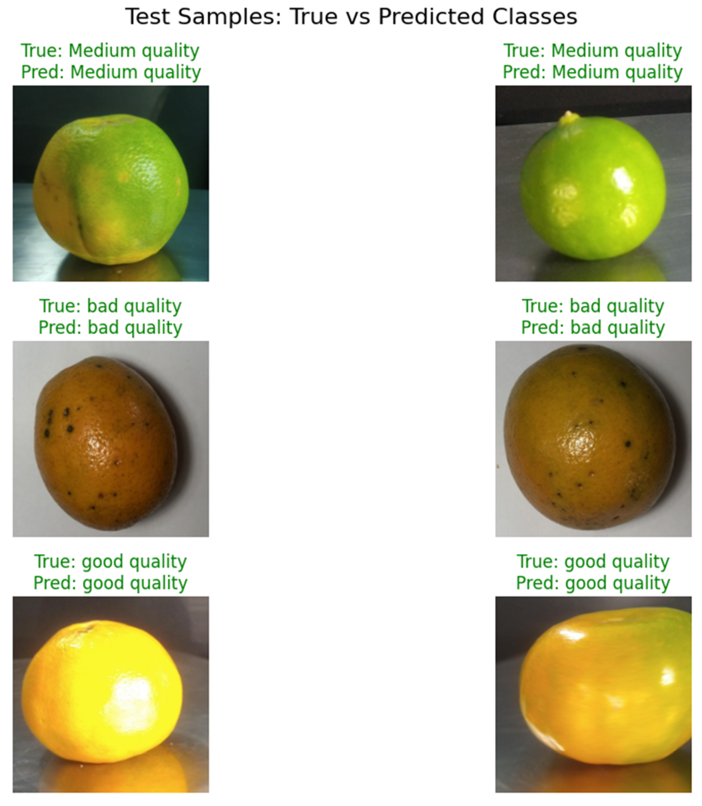 Agriengineering 07 00286 g008