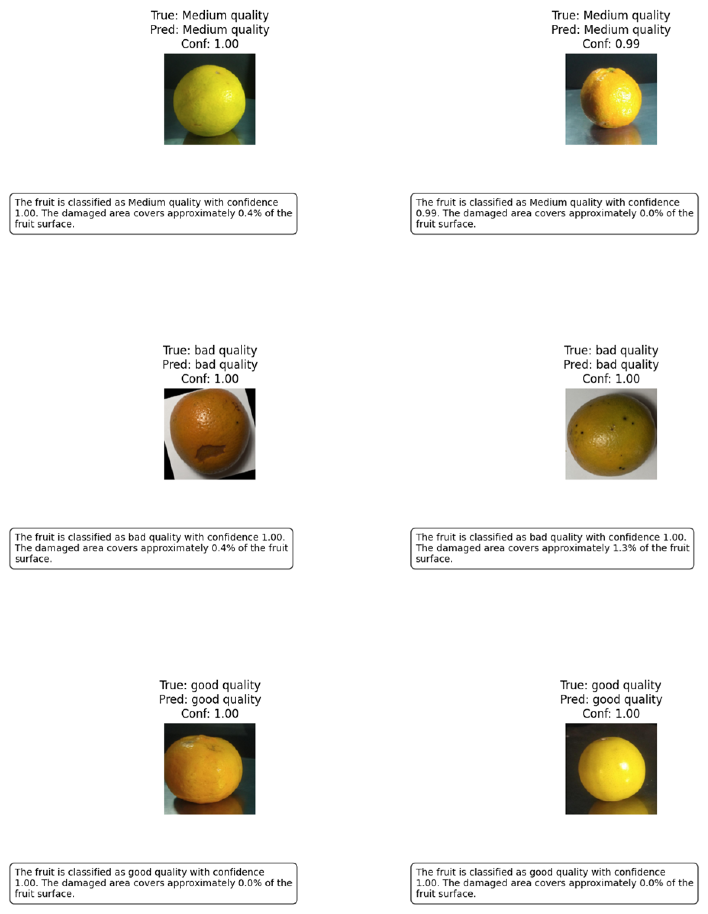 Agriengineering 07 00286 g010