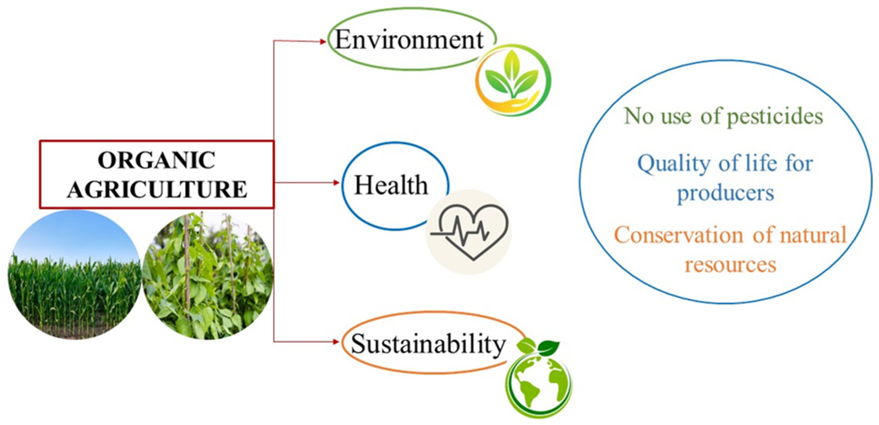 Agriengineering 07 00288 g003 Agriengineering 07 00288 g003