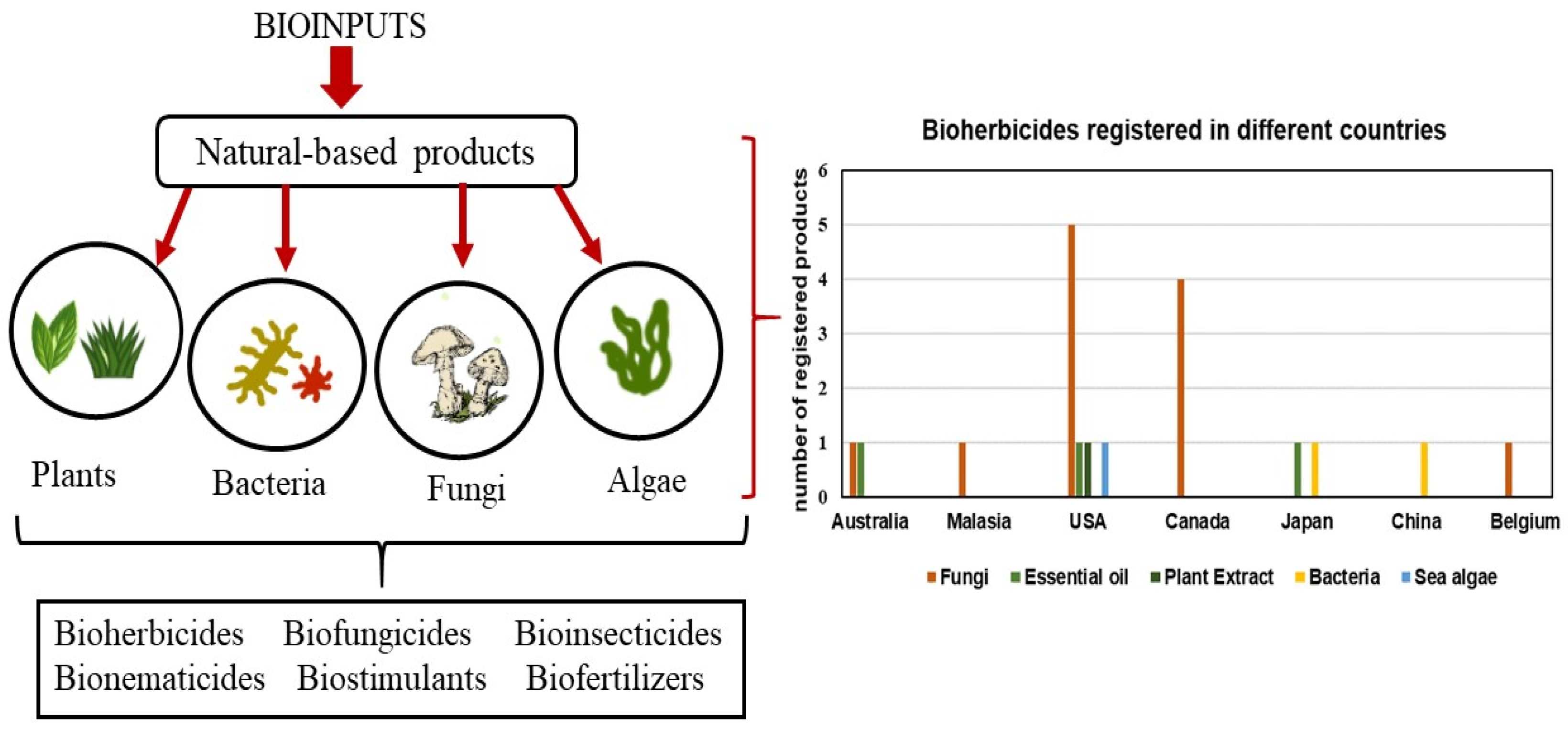 Agriengineering 07 00288 g004 Agriengineering 07 00288 g004