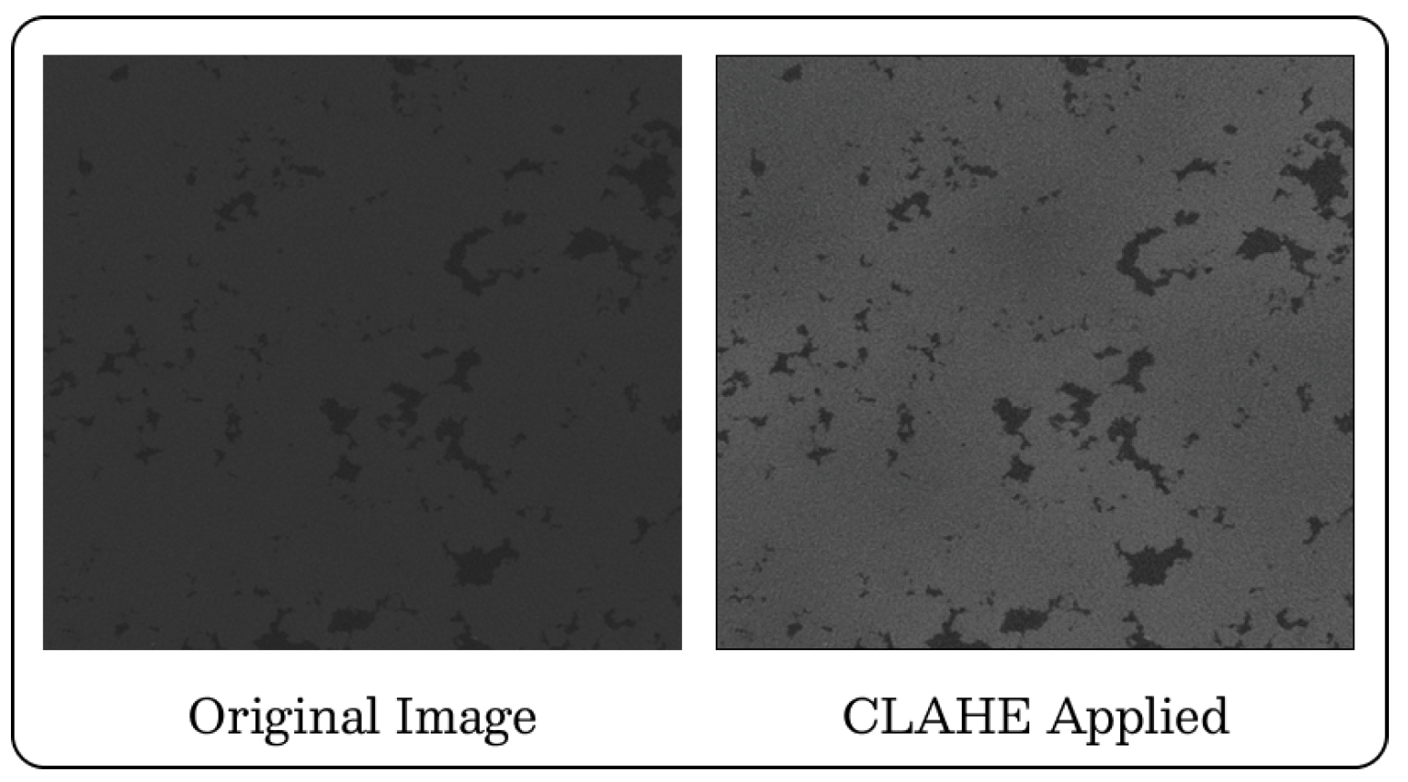 Agriengineering 07 00294 g003