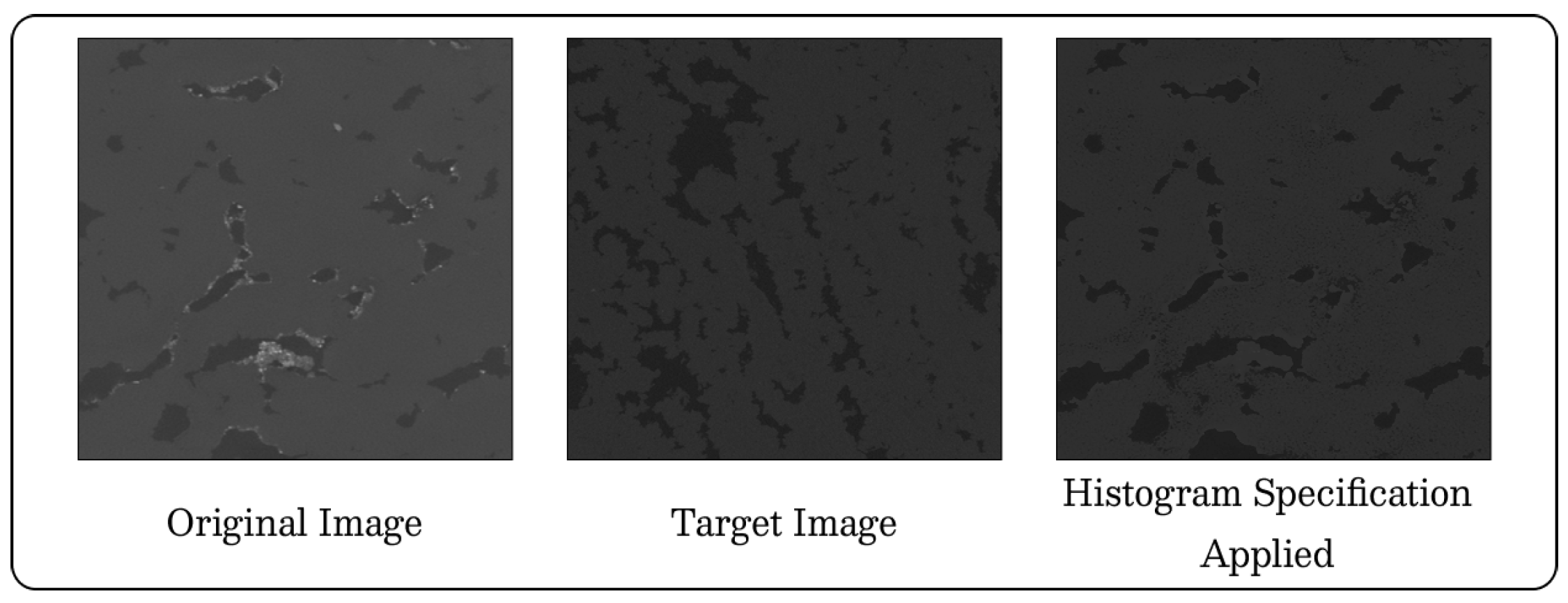 Agriengineering 07 00294 g004