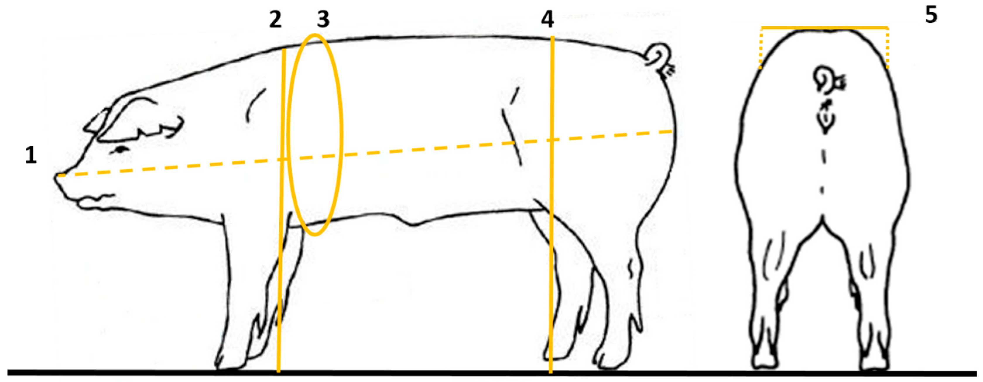 Agriengineering 07 00307 g007