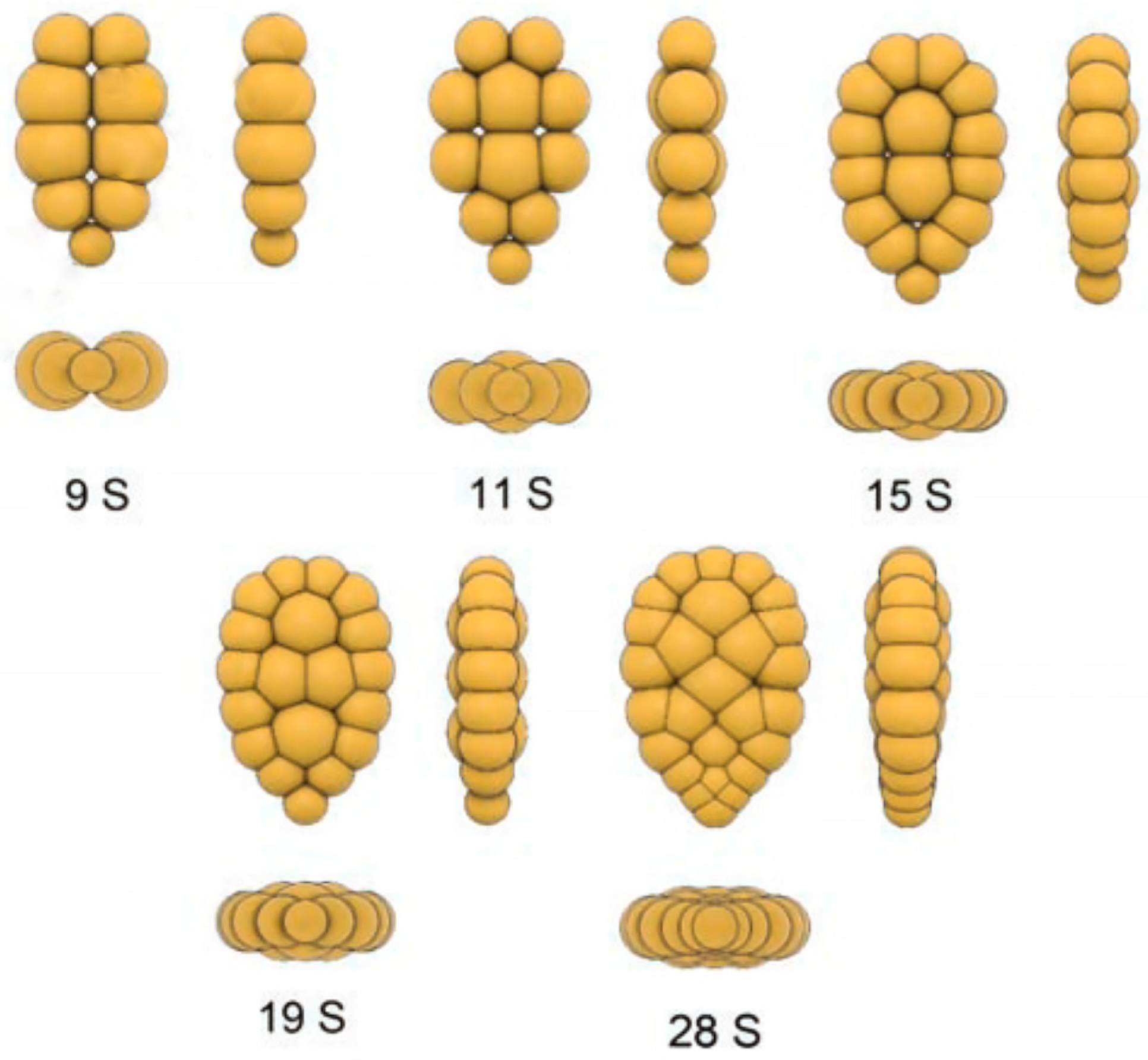 Agriengineering 07 00309 g009