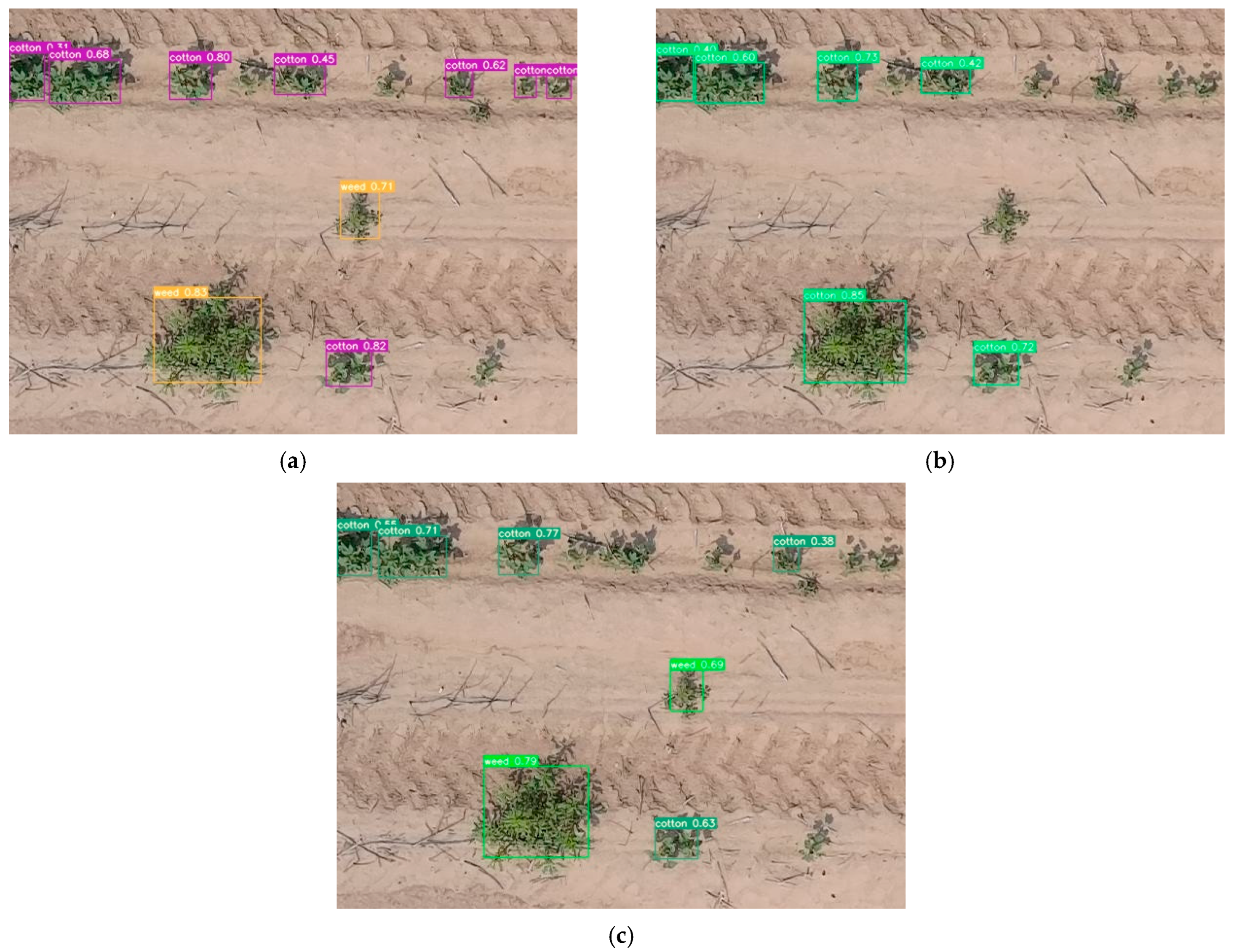 Agriengineering 07 00313 g005