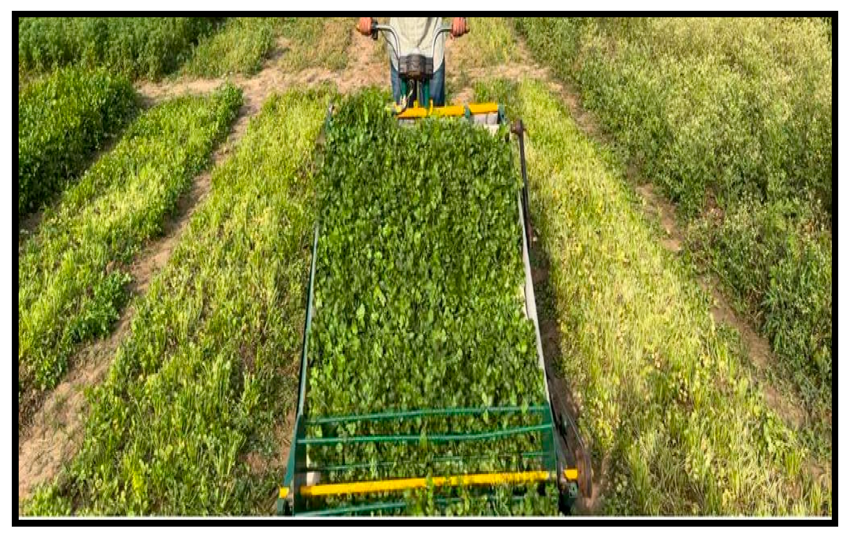 Agriengineering 07 00316 g003