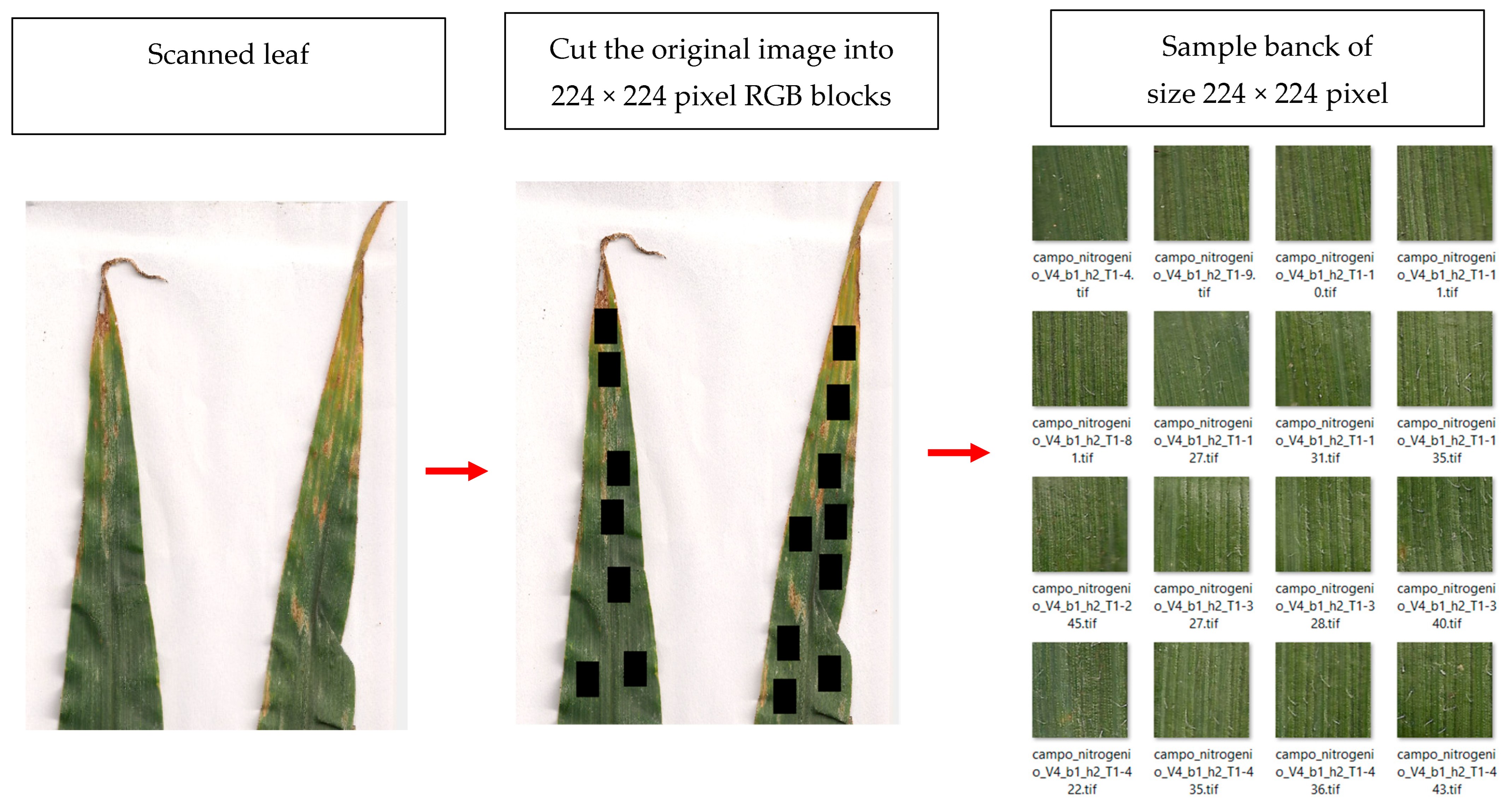 Agriengineering 07 00317 g001