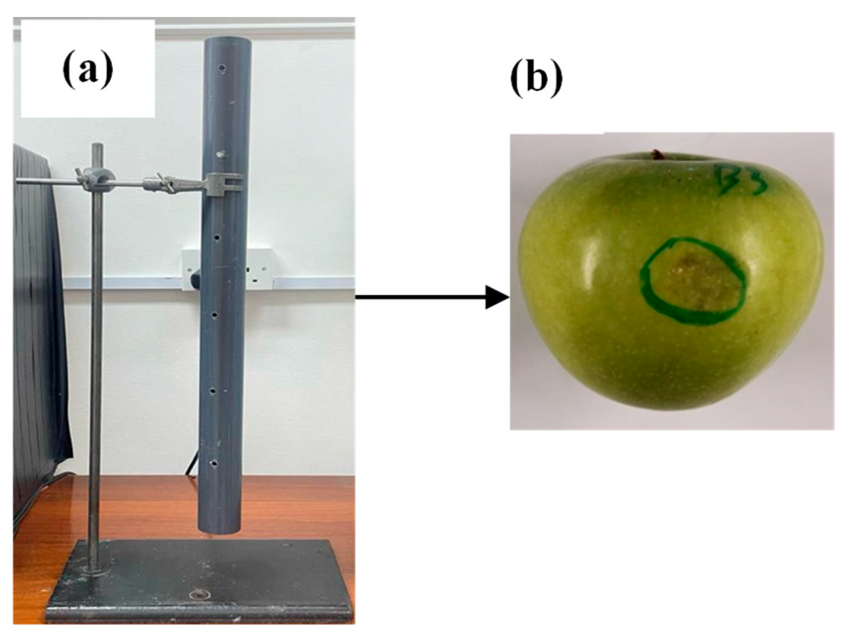 Agriengineering 07 00318 g001 Agriengineering 07 00318 g001
