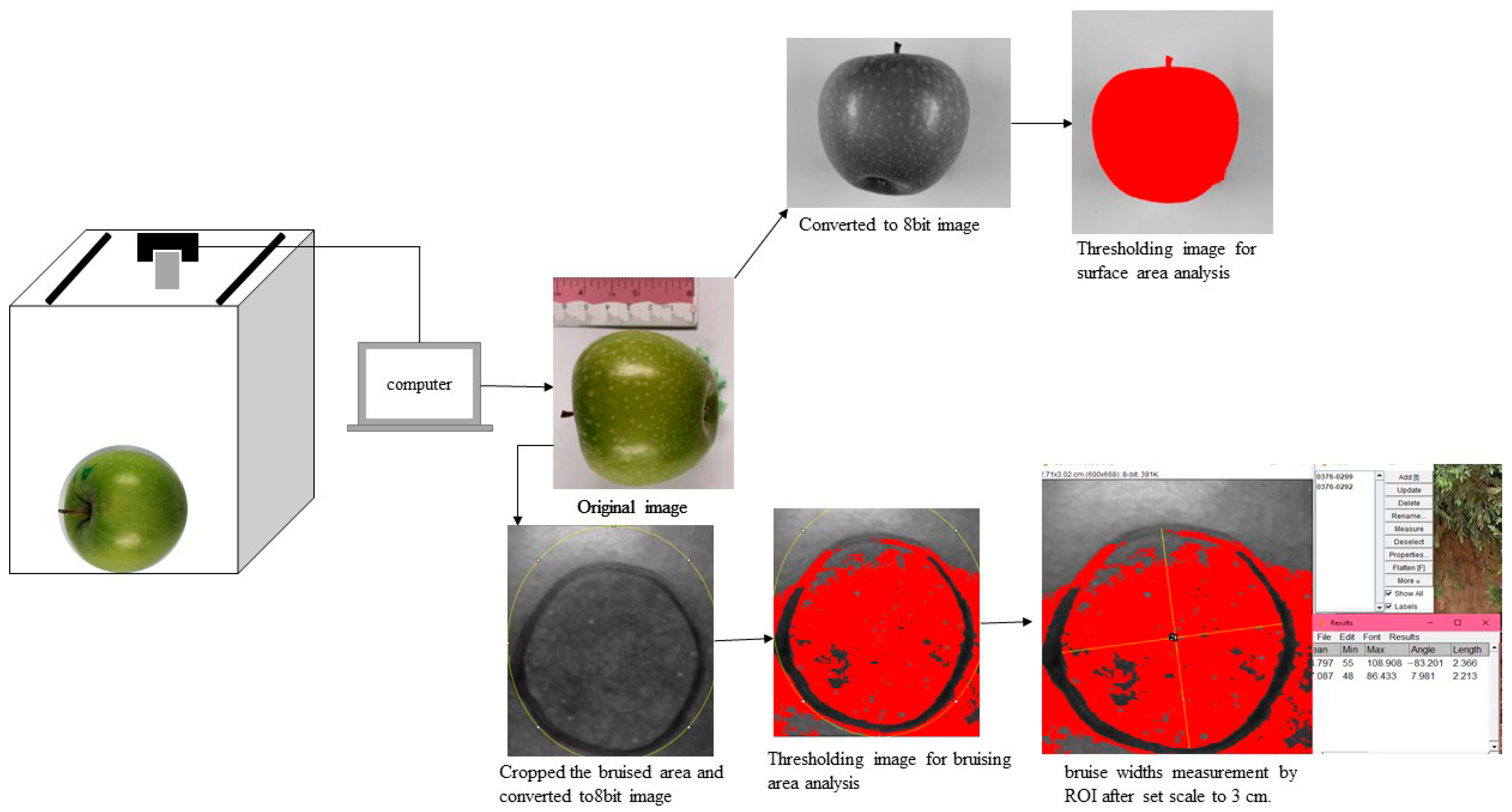 Agriengineering 07 00318 g002 Agriengineering 07 00318 g002