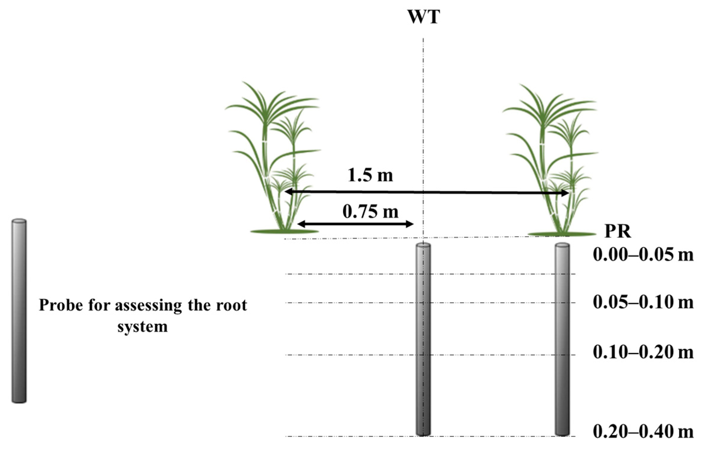 Agriengineering 07 00325 g002 Agriengineering 07 00325 g002