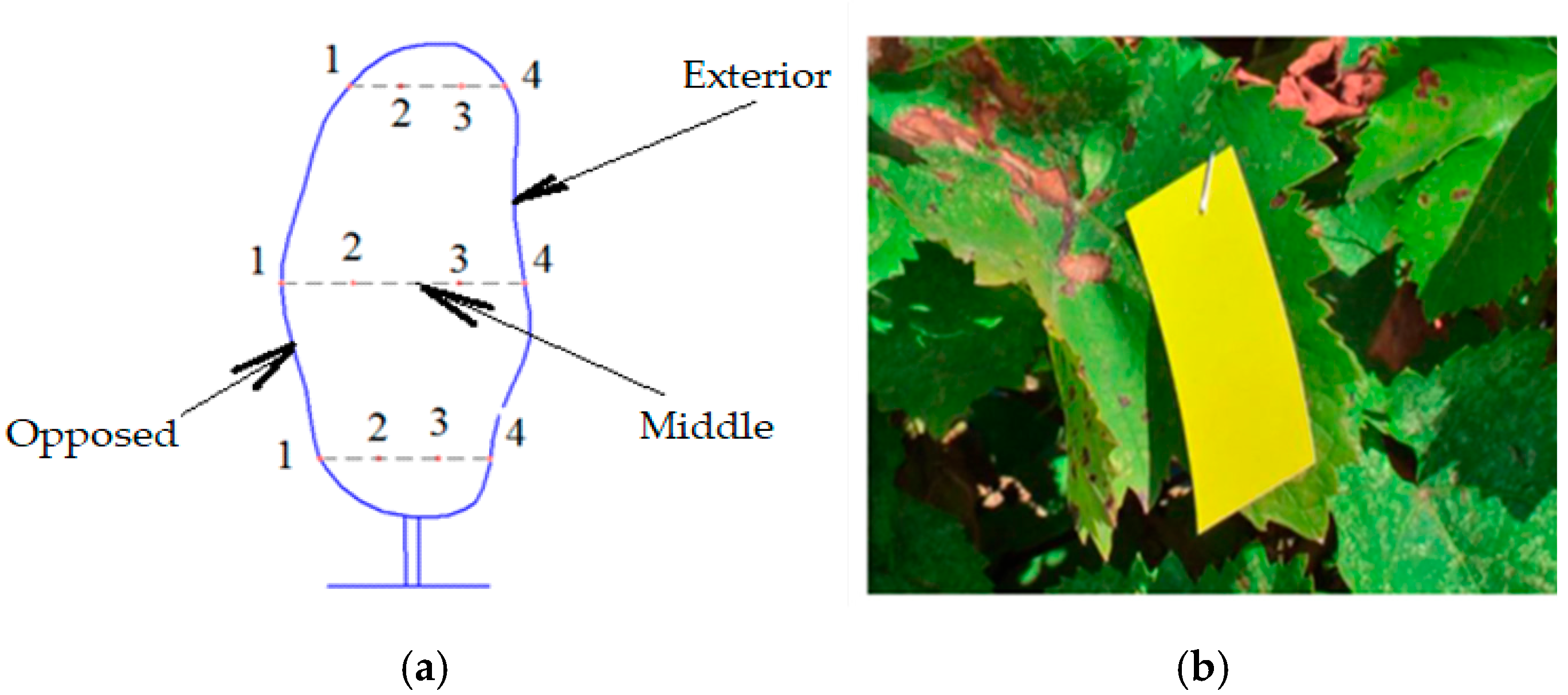 Agriengineering 07 00326 g004 Agriengineering 07 00326 g004