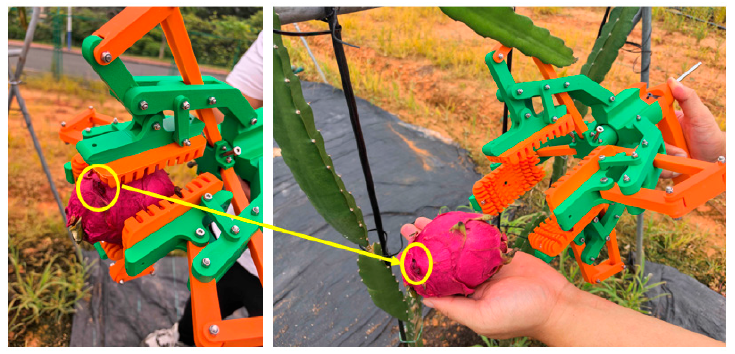 Agriengineering 07 00327 g006