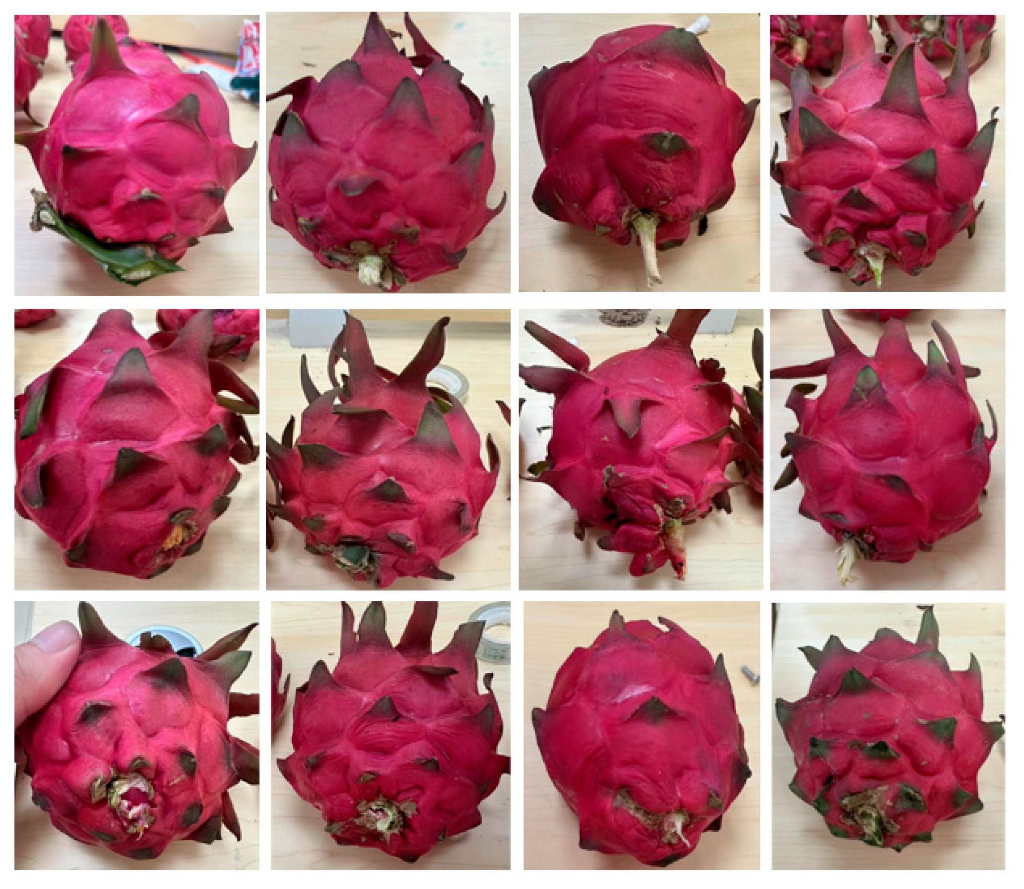 Agriengineering 07 00327 g012