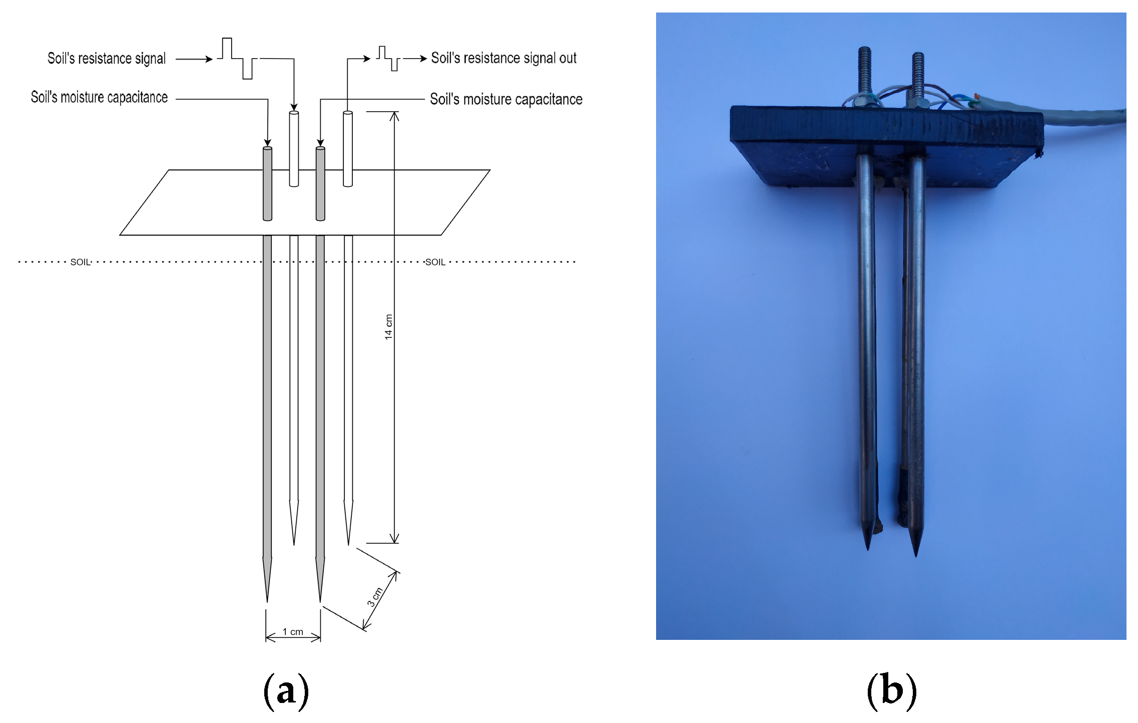 Agriengineering 07 00329 g002