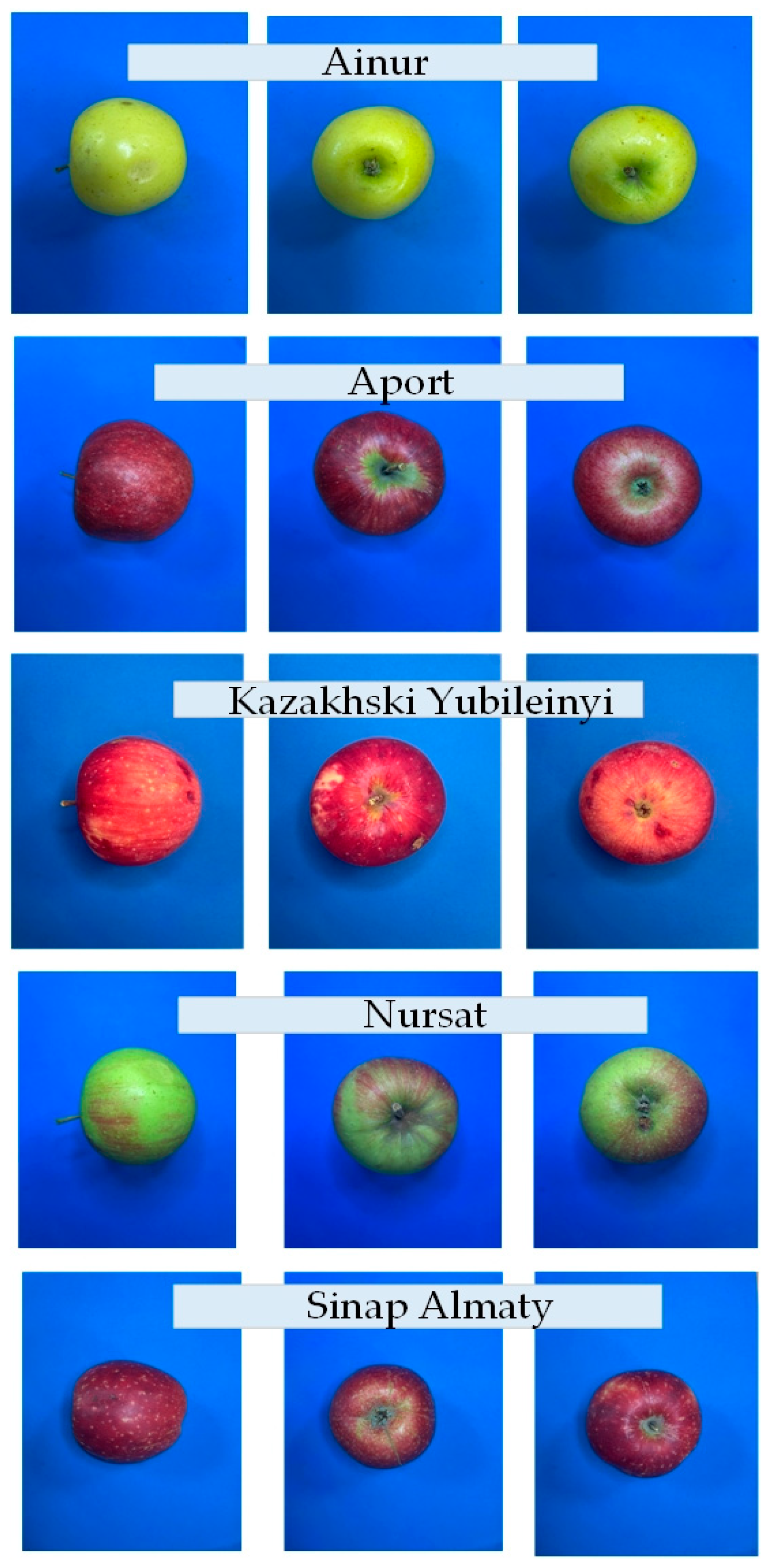 Agriengineering 07 00331 g002