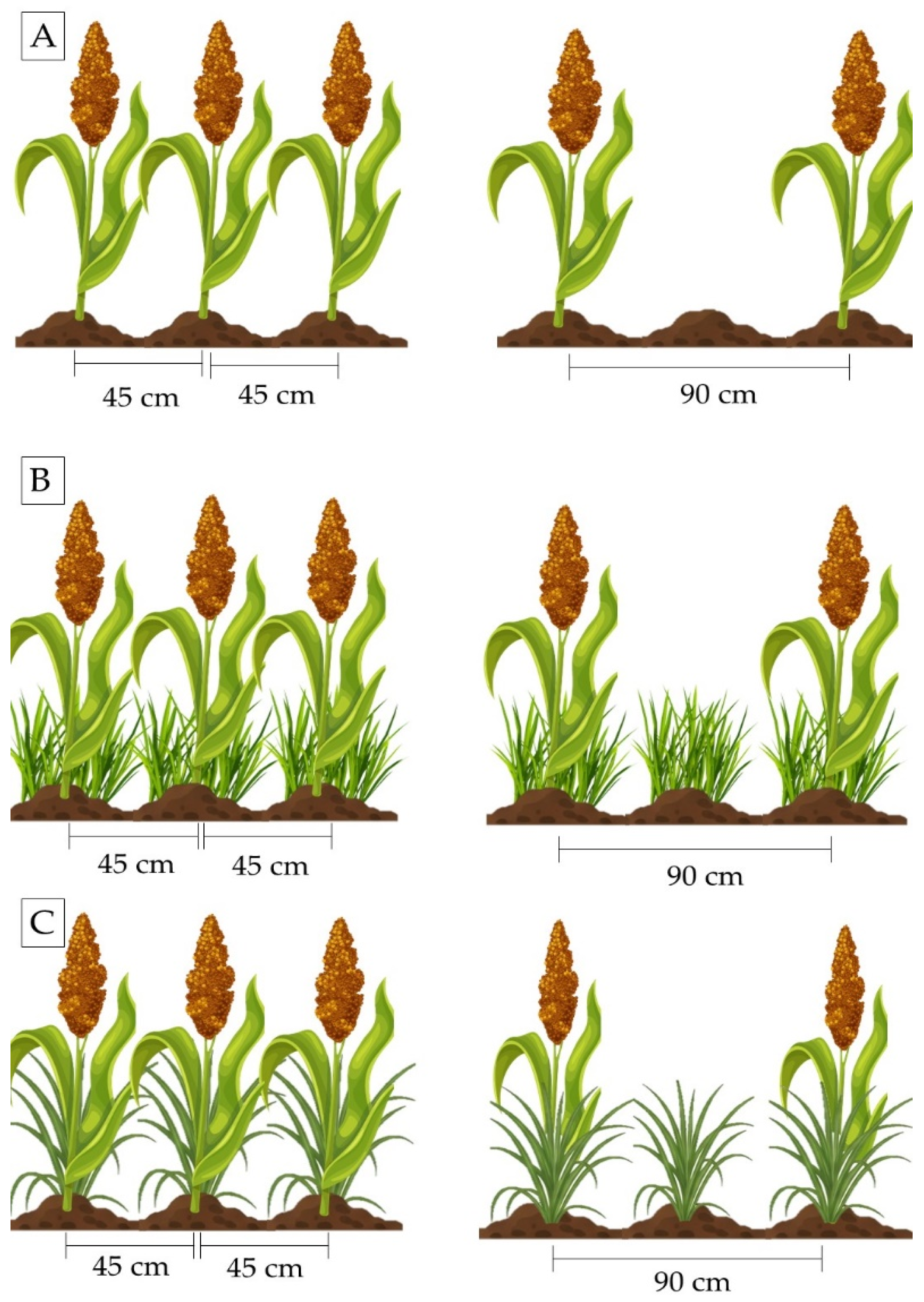 Agriengineering 07 00345 g002