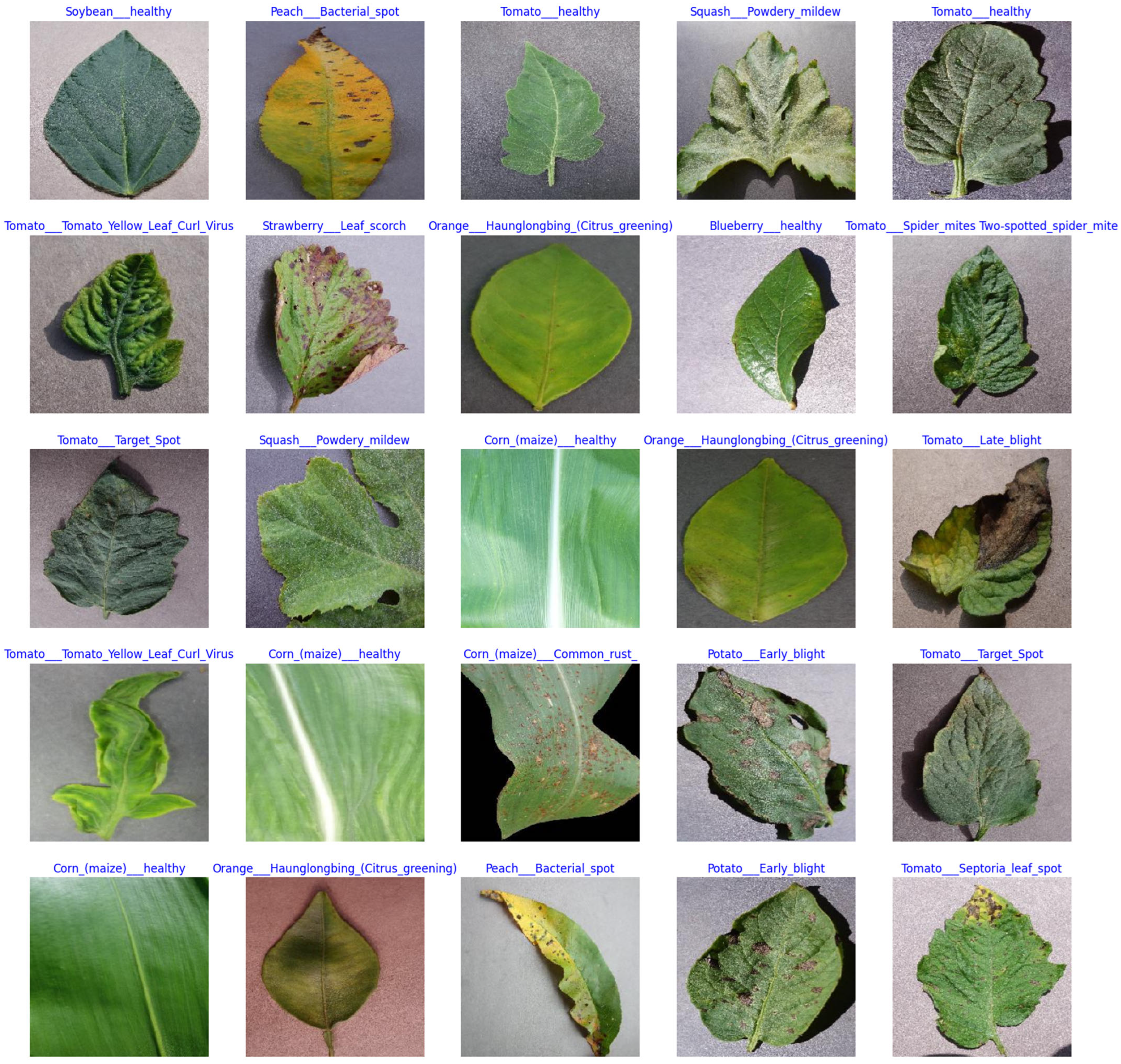 Agriengineering 07 00353 g003