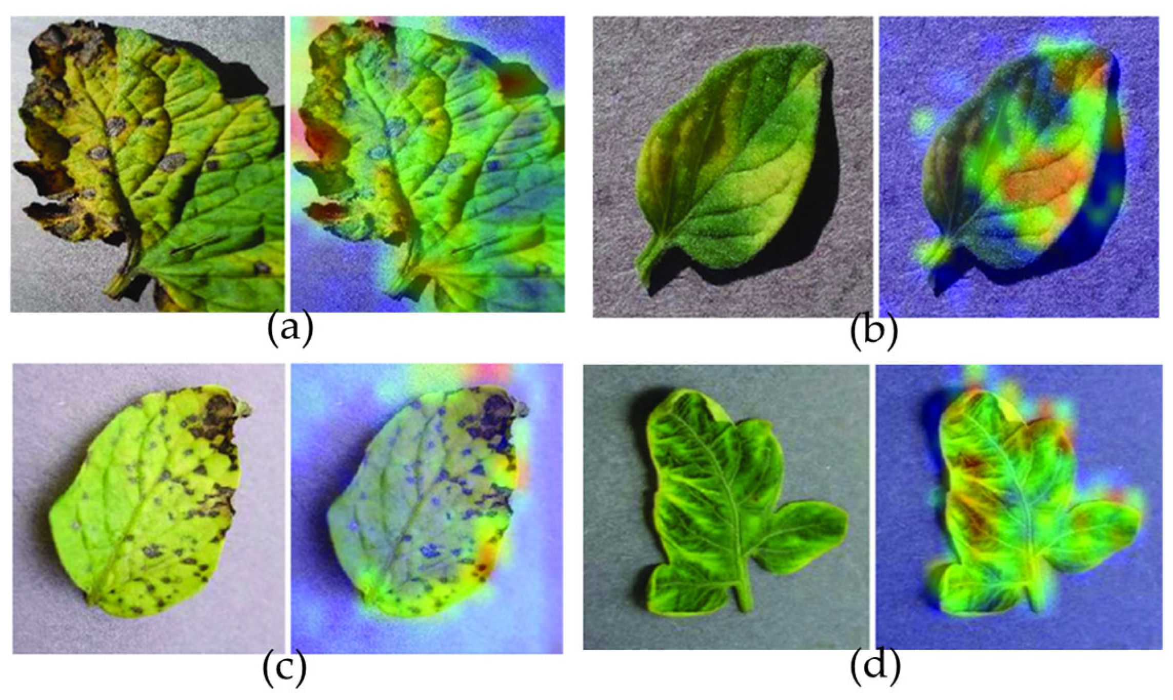Agriengineering 07 00353 g011