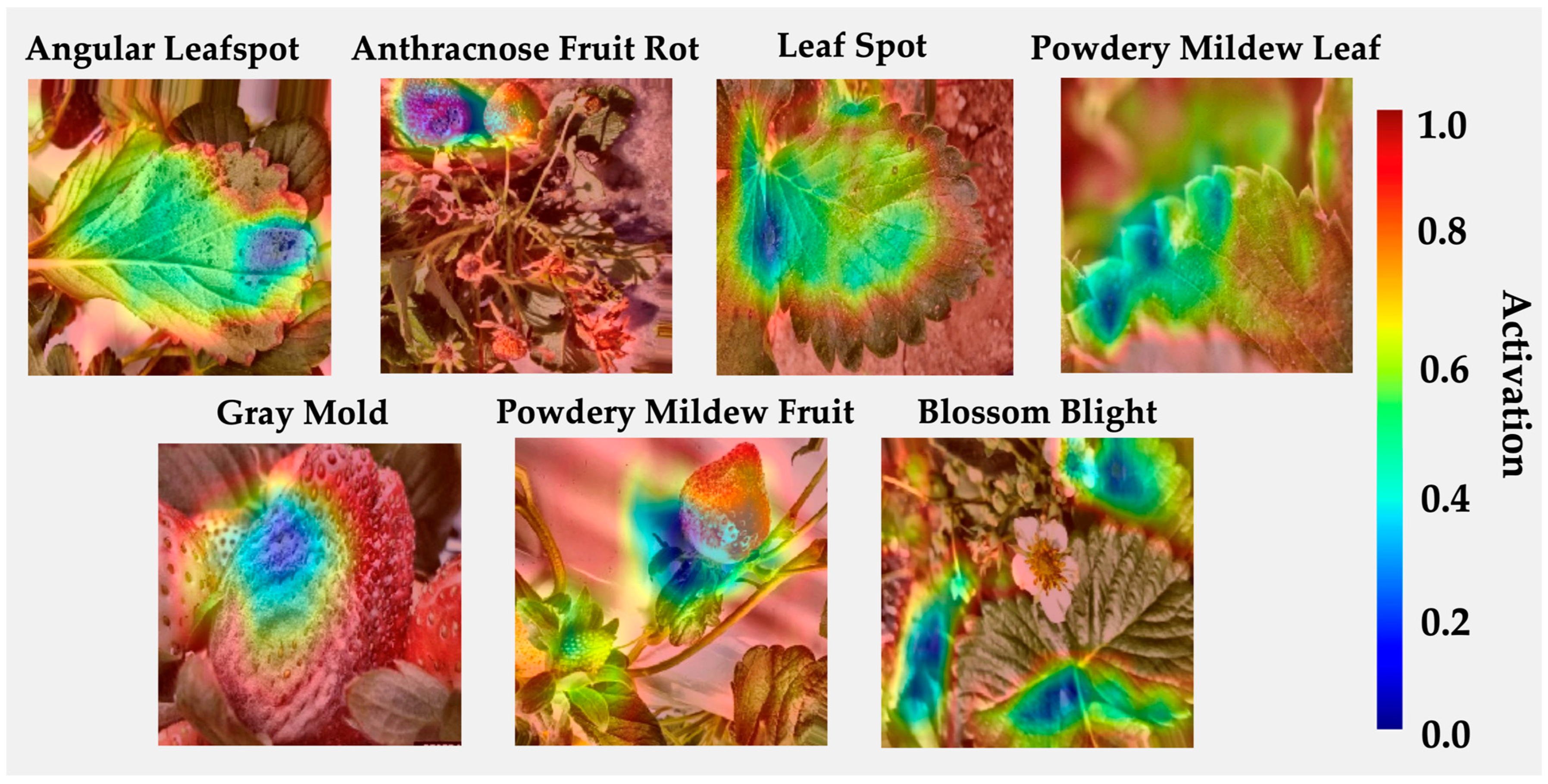 Agriengineering 07 00355 g007