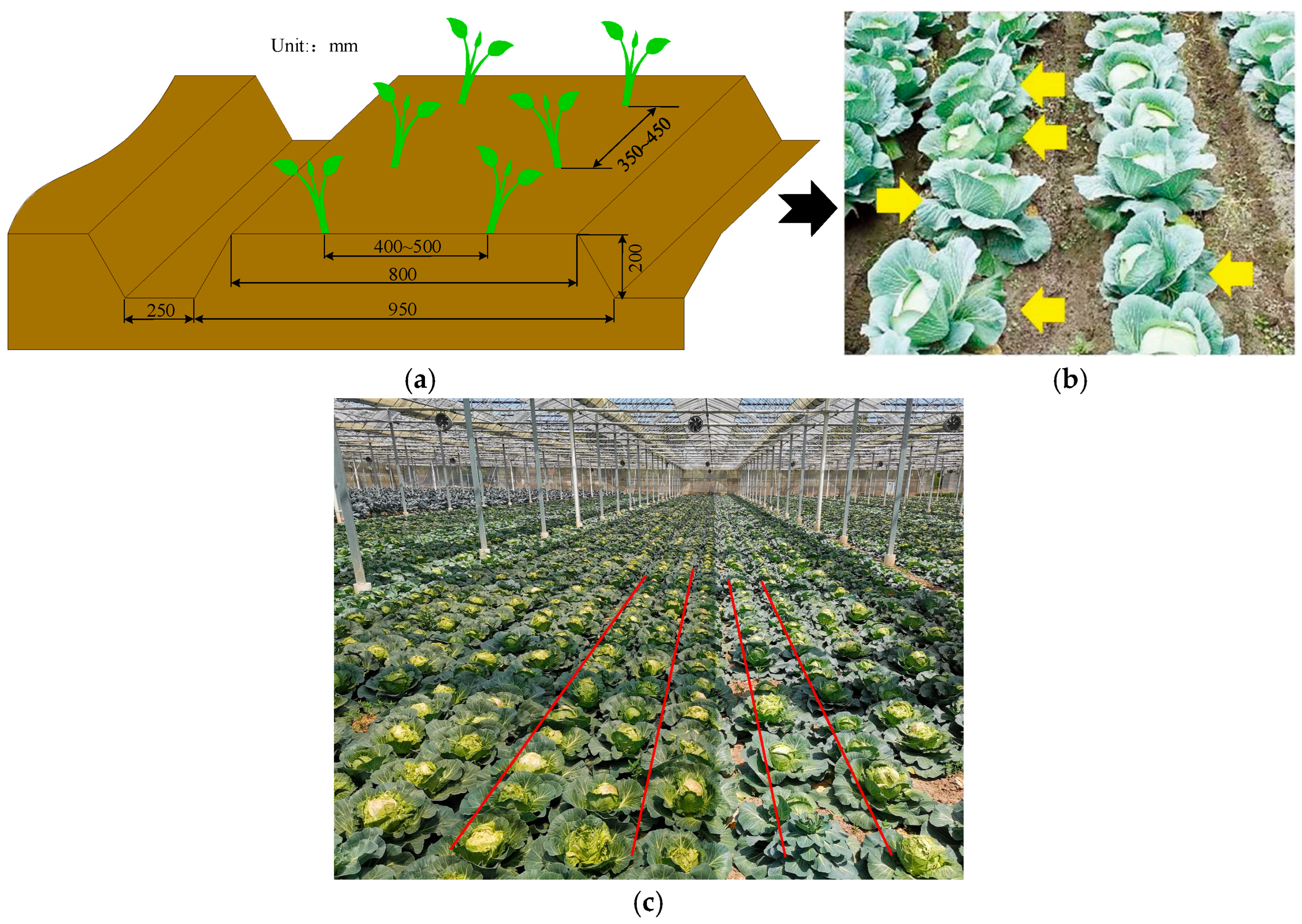 Agriengineering 07 00357 g010 Agriengineering 07 00357 g010