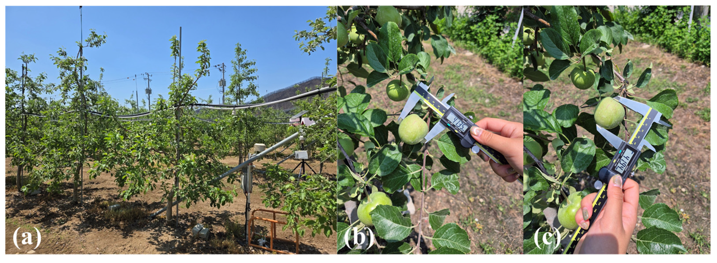 Agriengineering 07 00361 g002 Agriengineering 07 00361 g002