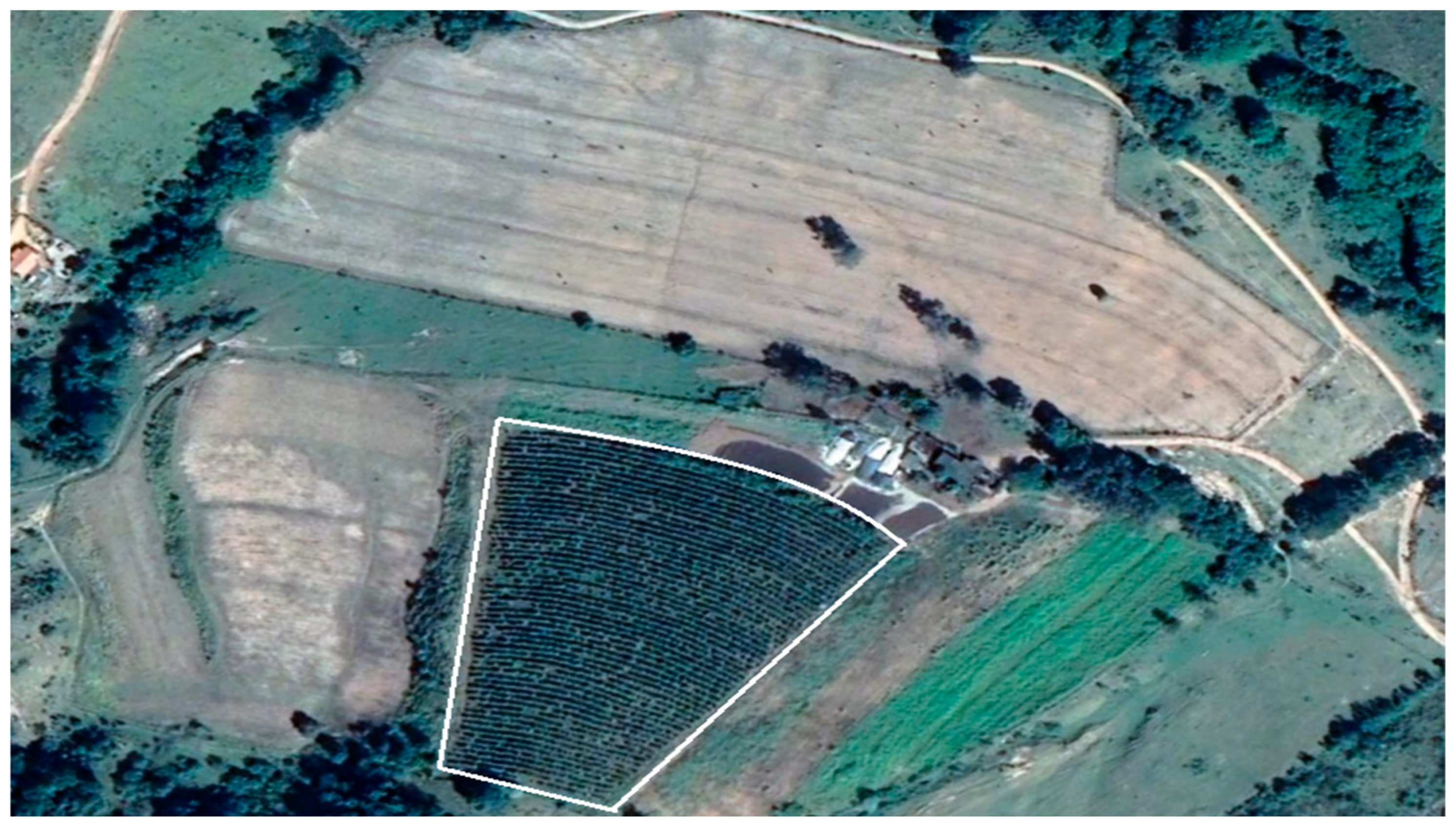 Agriengineering 07 00364 g002