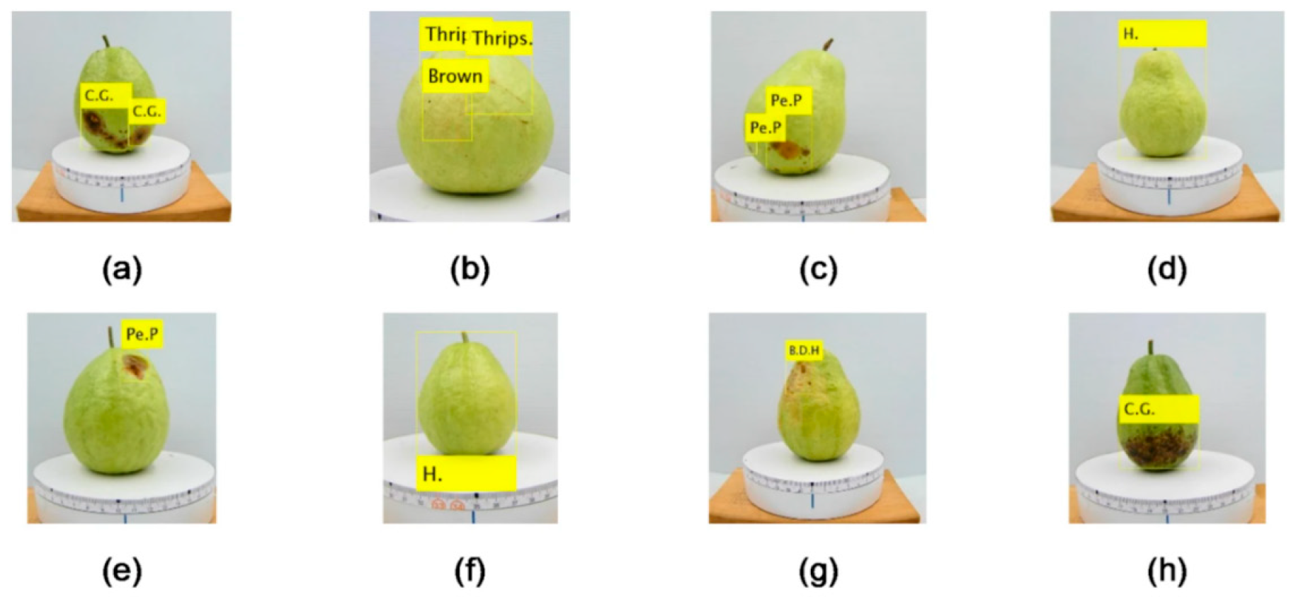 Agriengineering 07 00365 g007