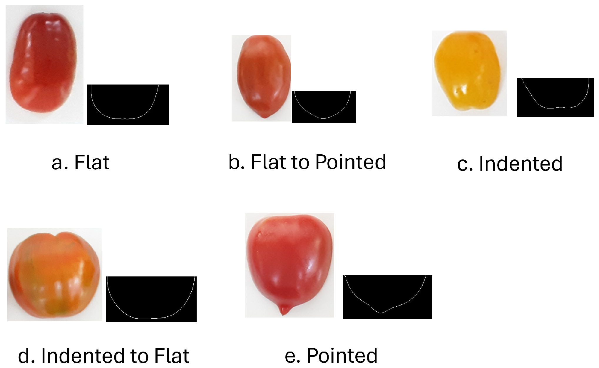 Agriengineering 07 00373 g002