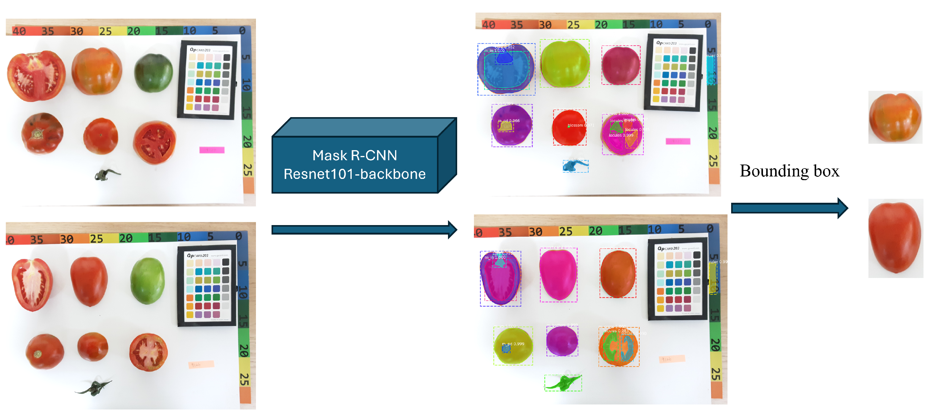 Agriengineering 07 00373 g003