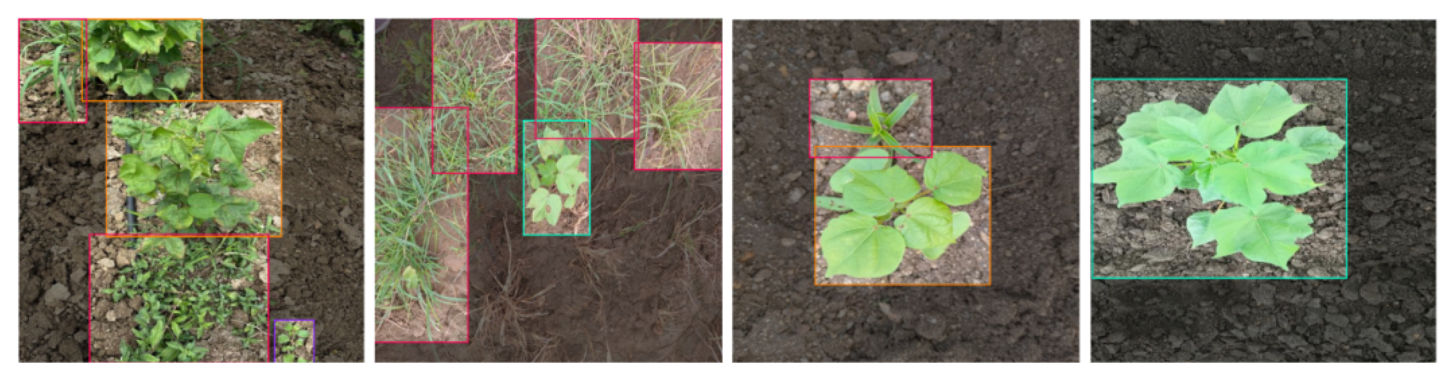 Agriengineering 07 00375 g002 Agriengineering 07 00375 g002