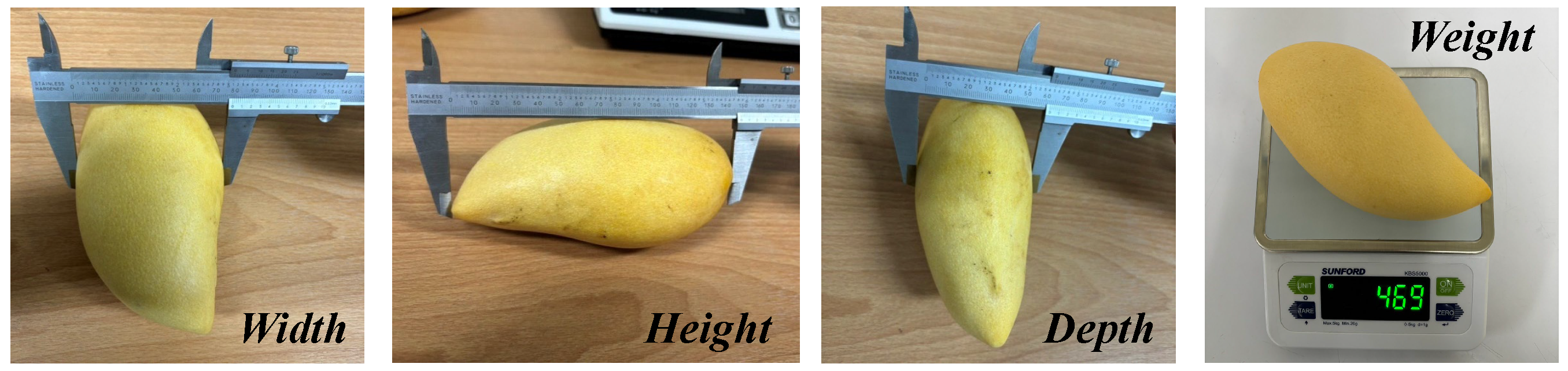 Agriengineering 07 00377 g004