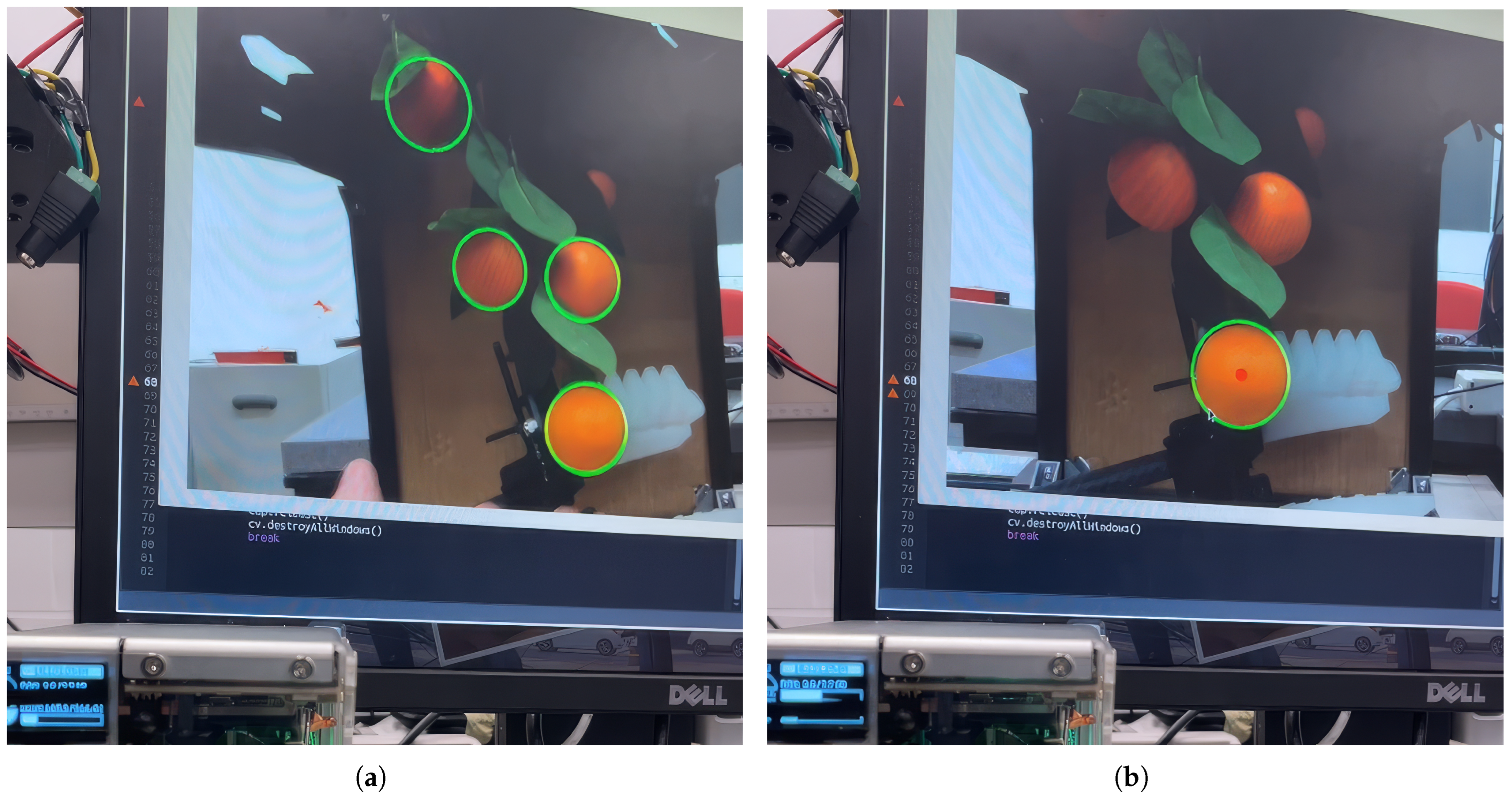 Agriengineering 07 00378 g010