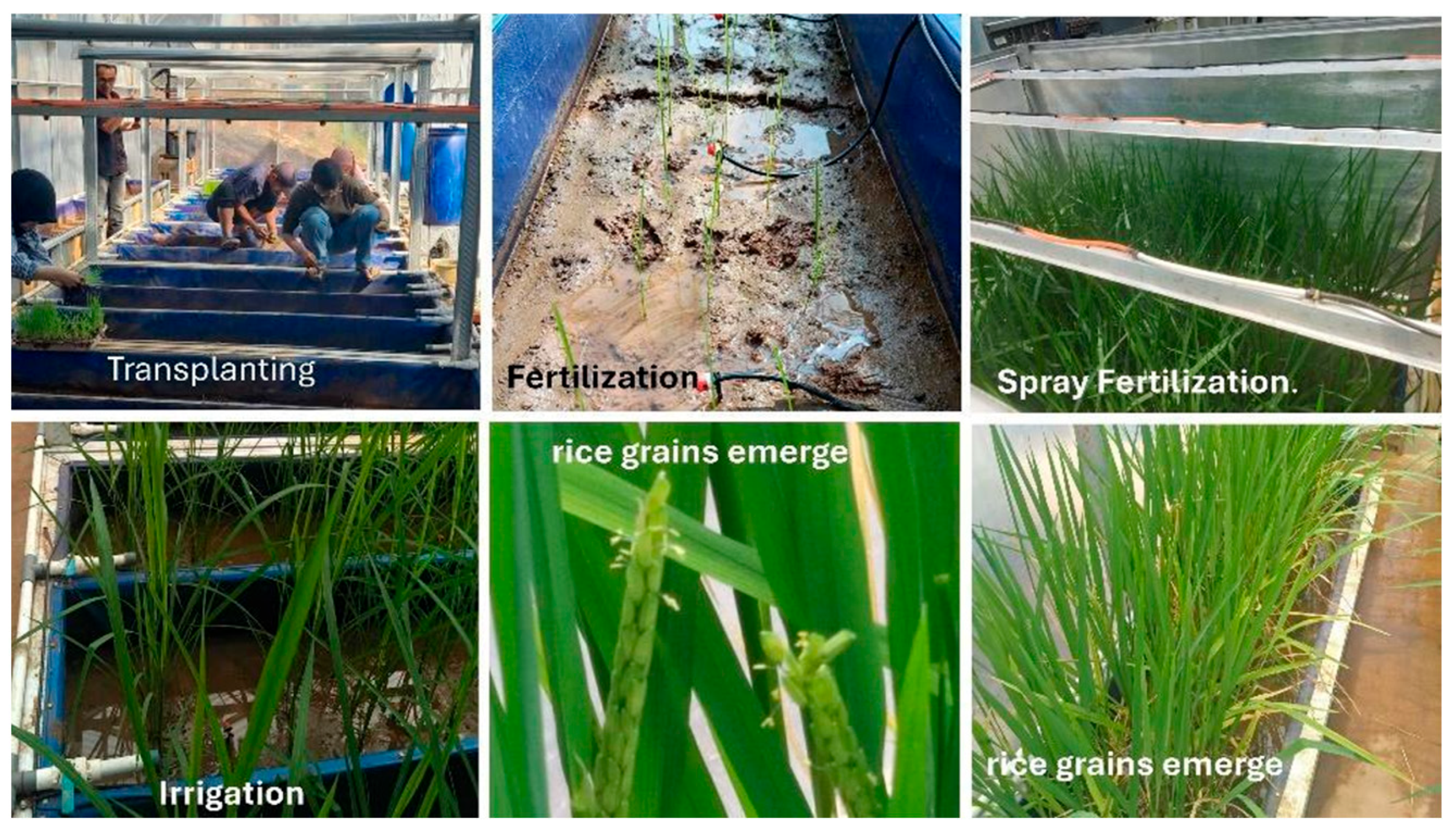 Agriengineering 07 00380 g015