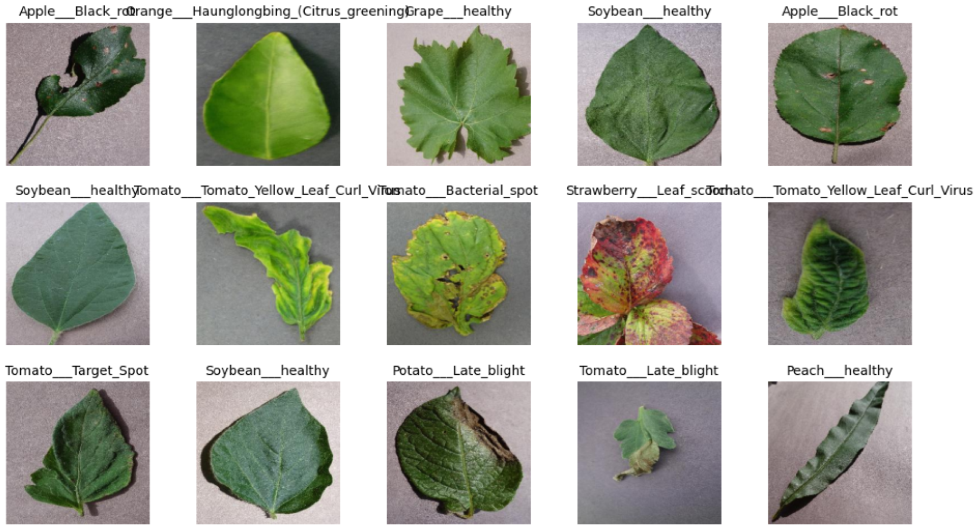 Agriengineering 07 00386 g001