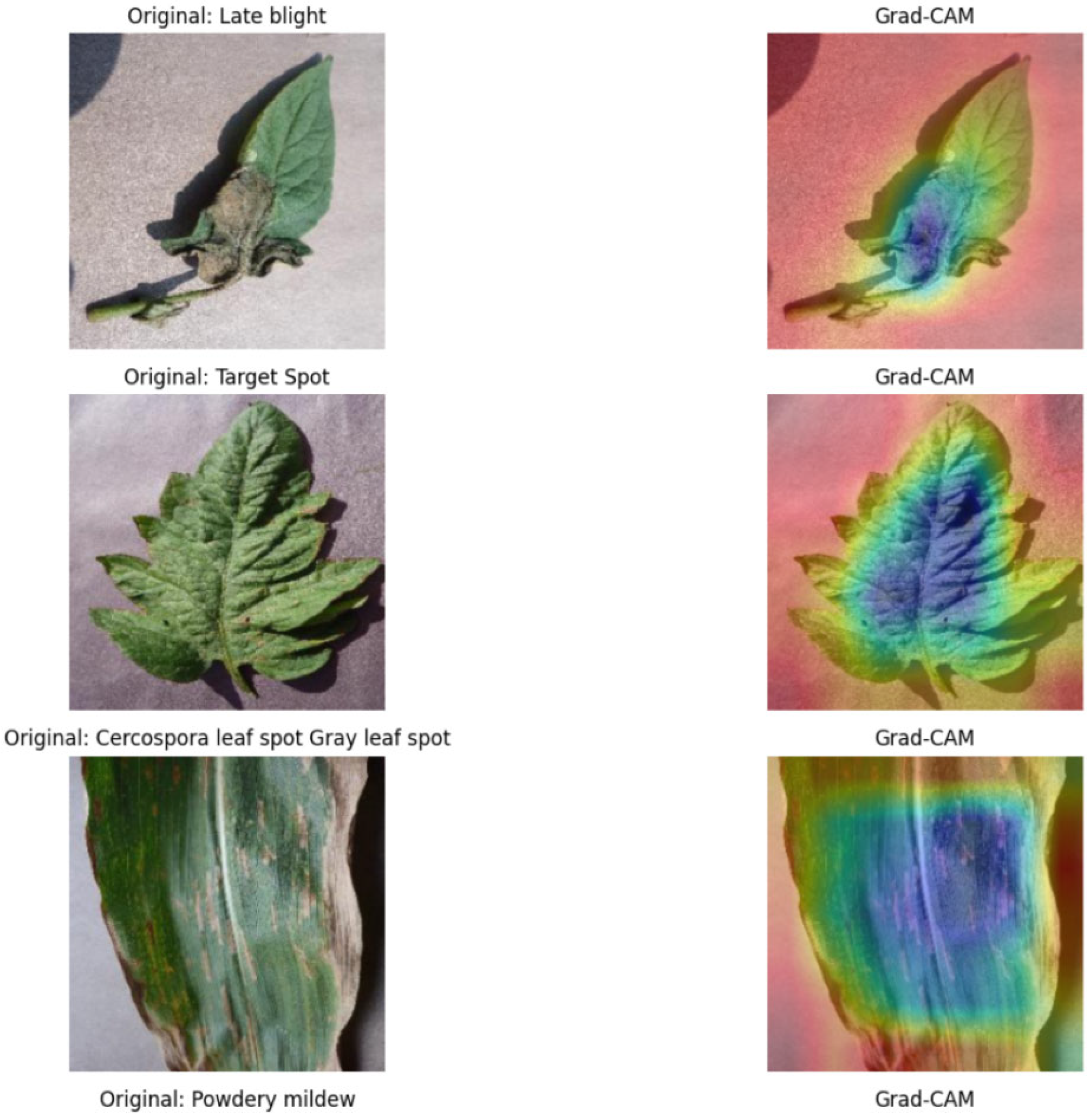 Agriengineering 07 00386 g011