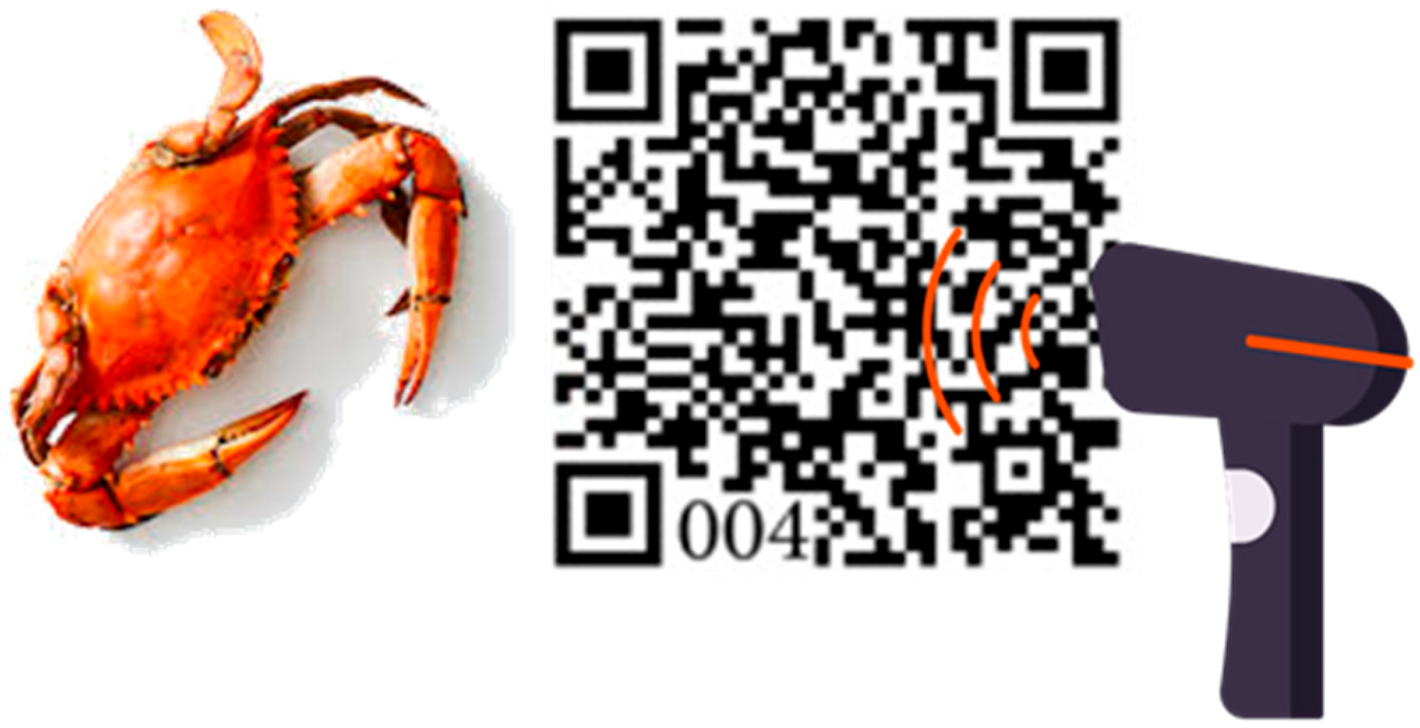 Agriengineering 07 00387 g006