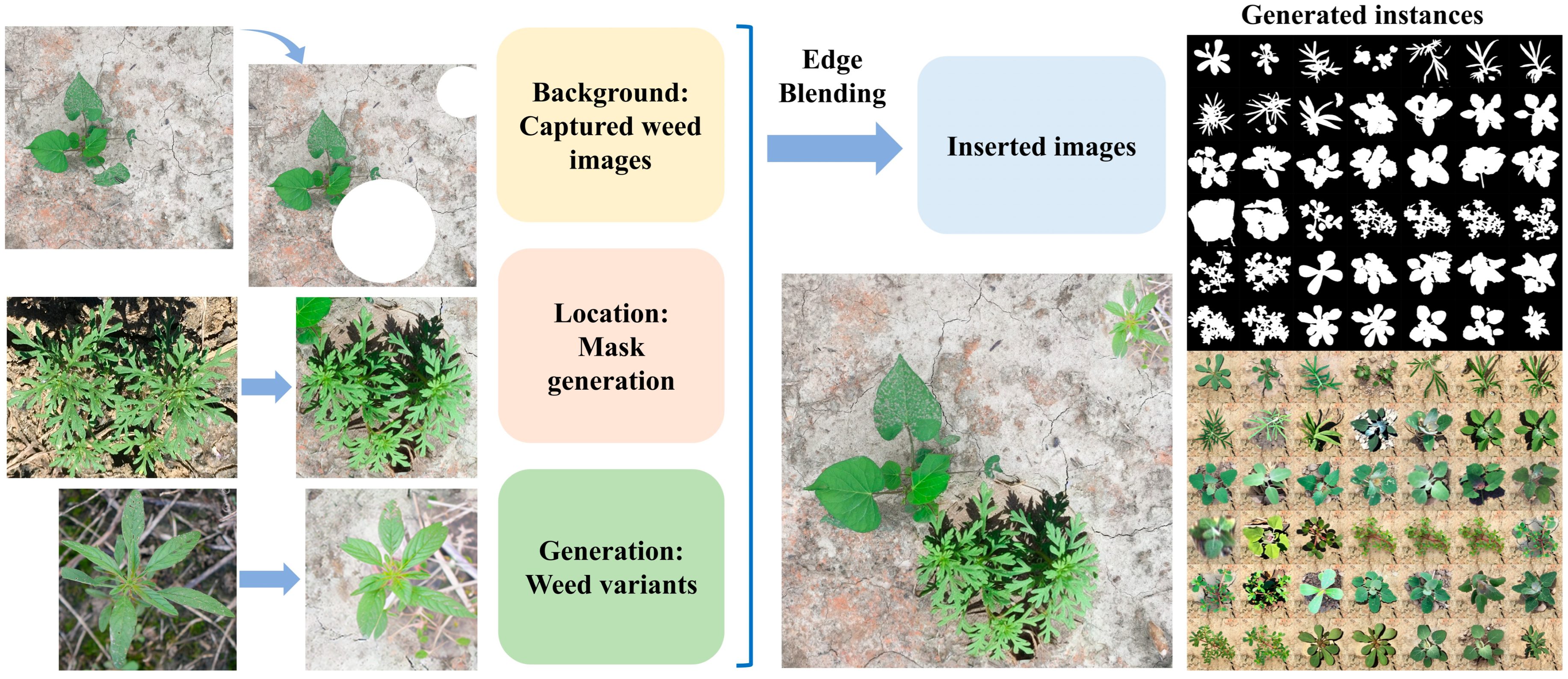 Agriengineering 07 00389 g002