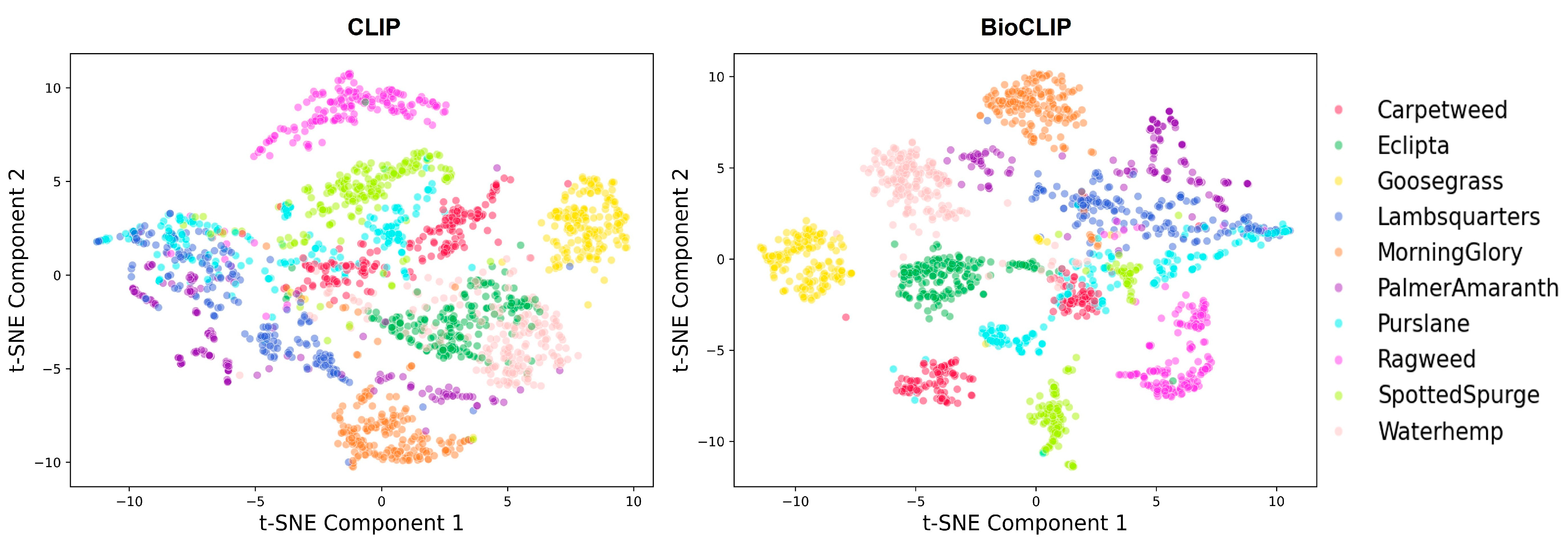 Agriengineering 07 00389 g006