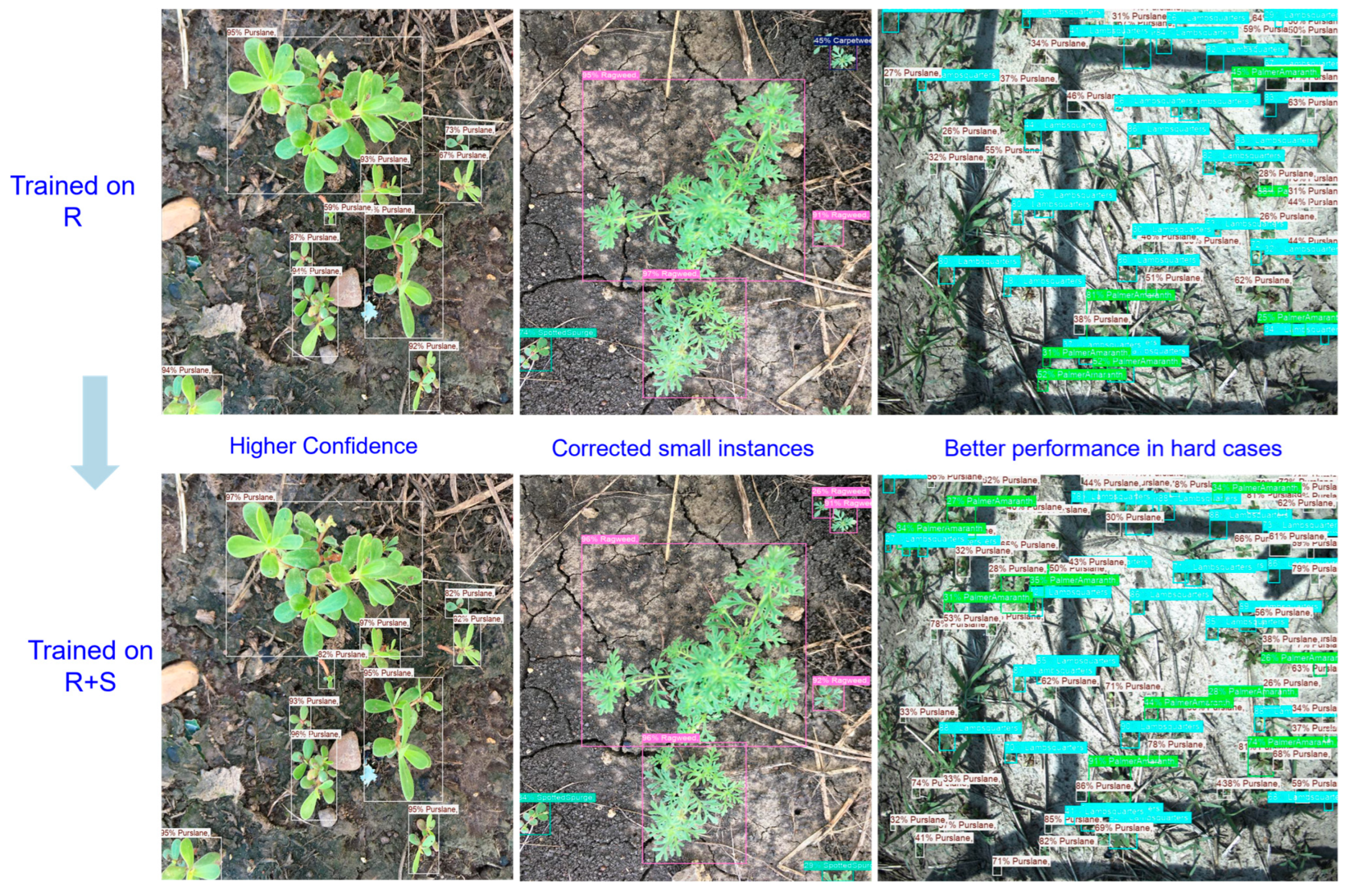 Agriengineering 07 00389 g010