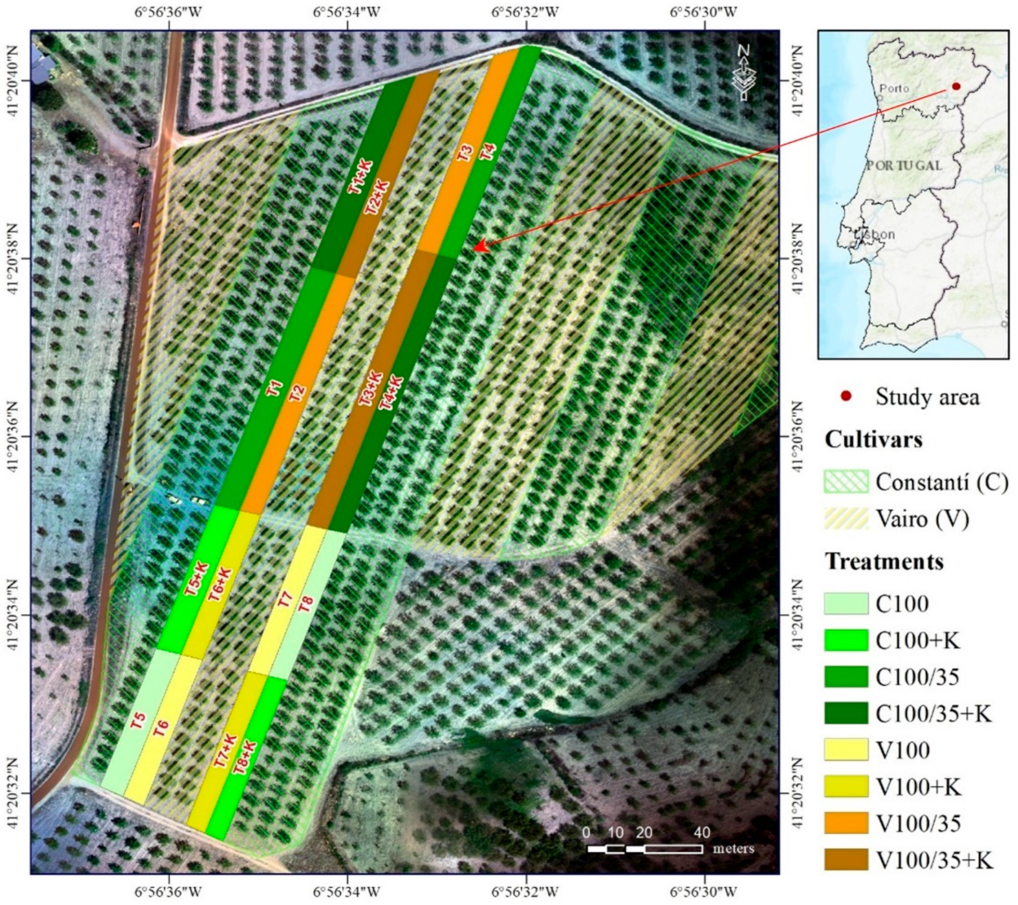 Agriengineering 07 00395 g001