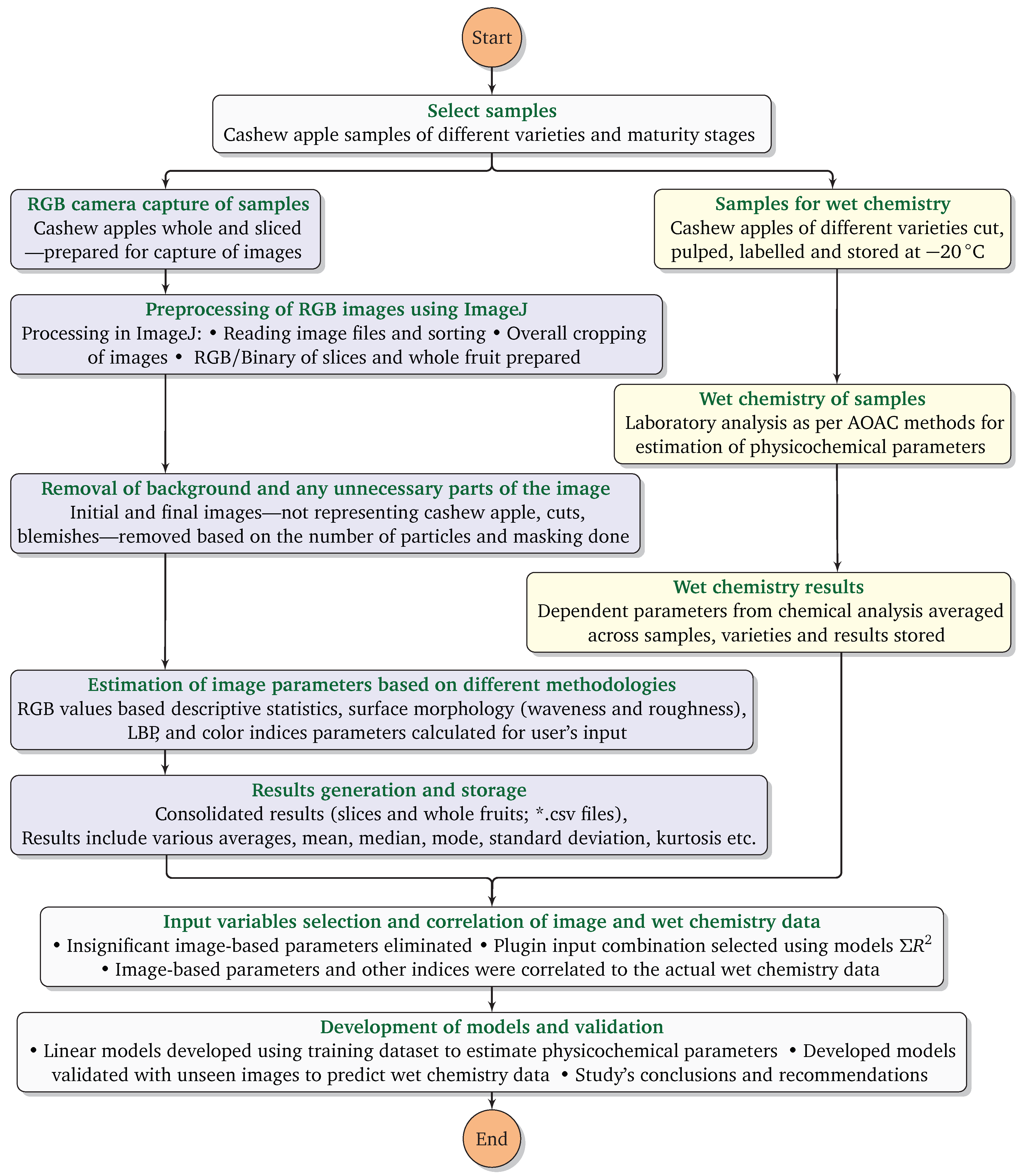 Agriengineering 07 00398 g002