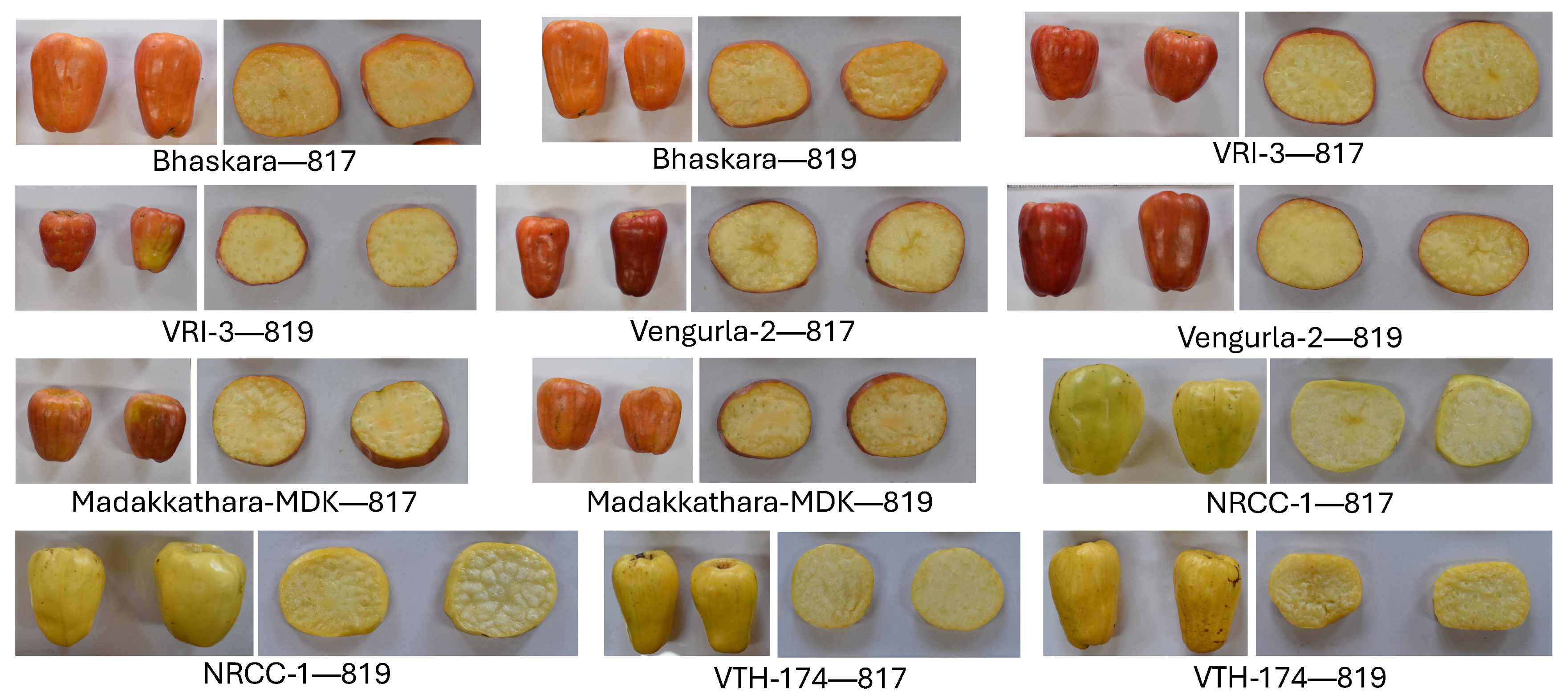 Agriengineering 07 00398 g003