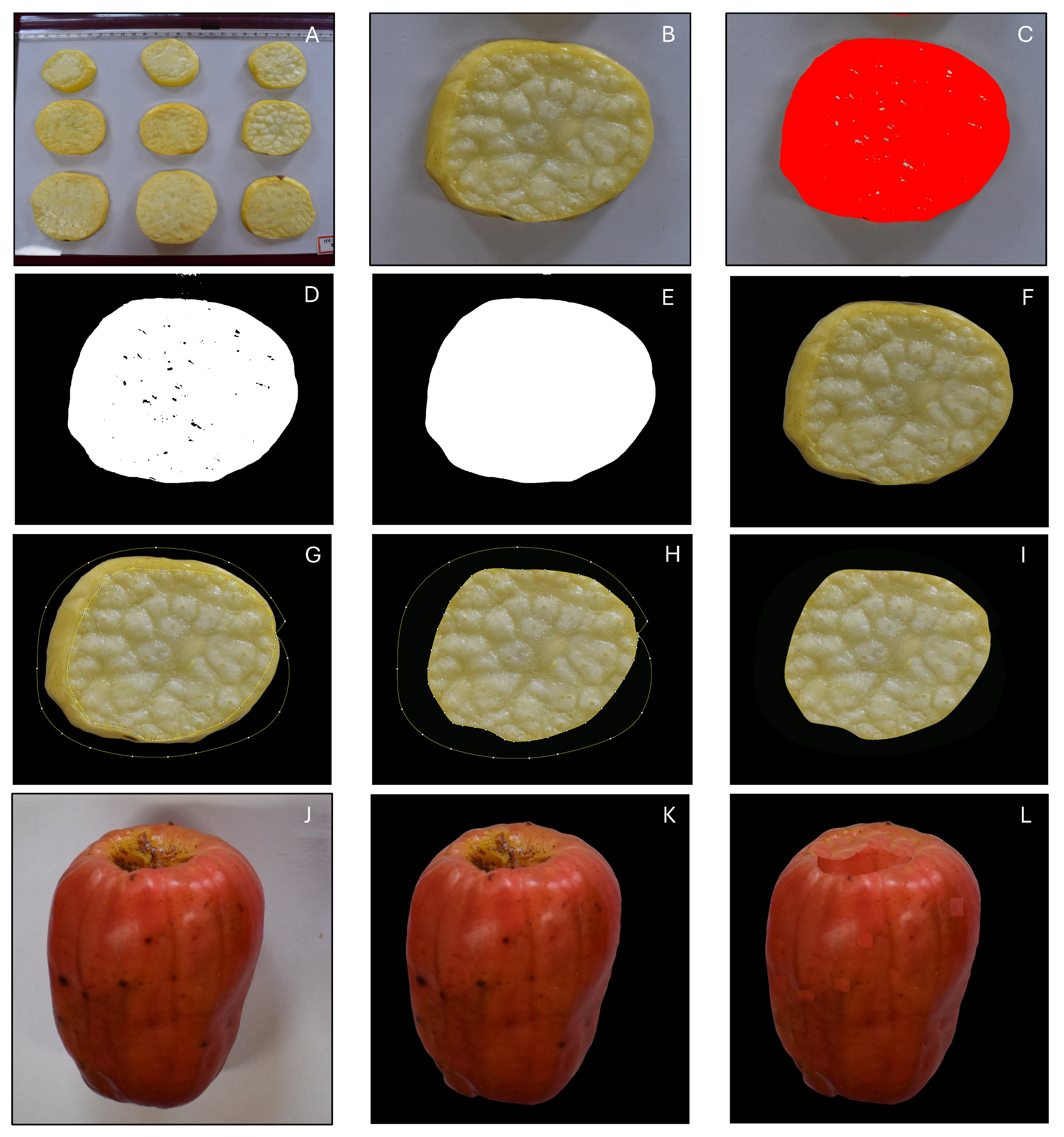 Agriengineering 07 00398 g004