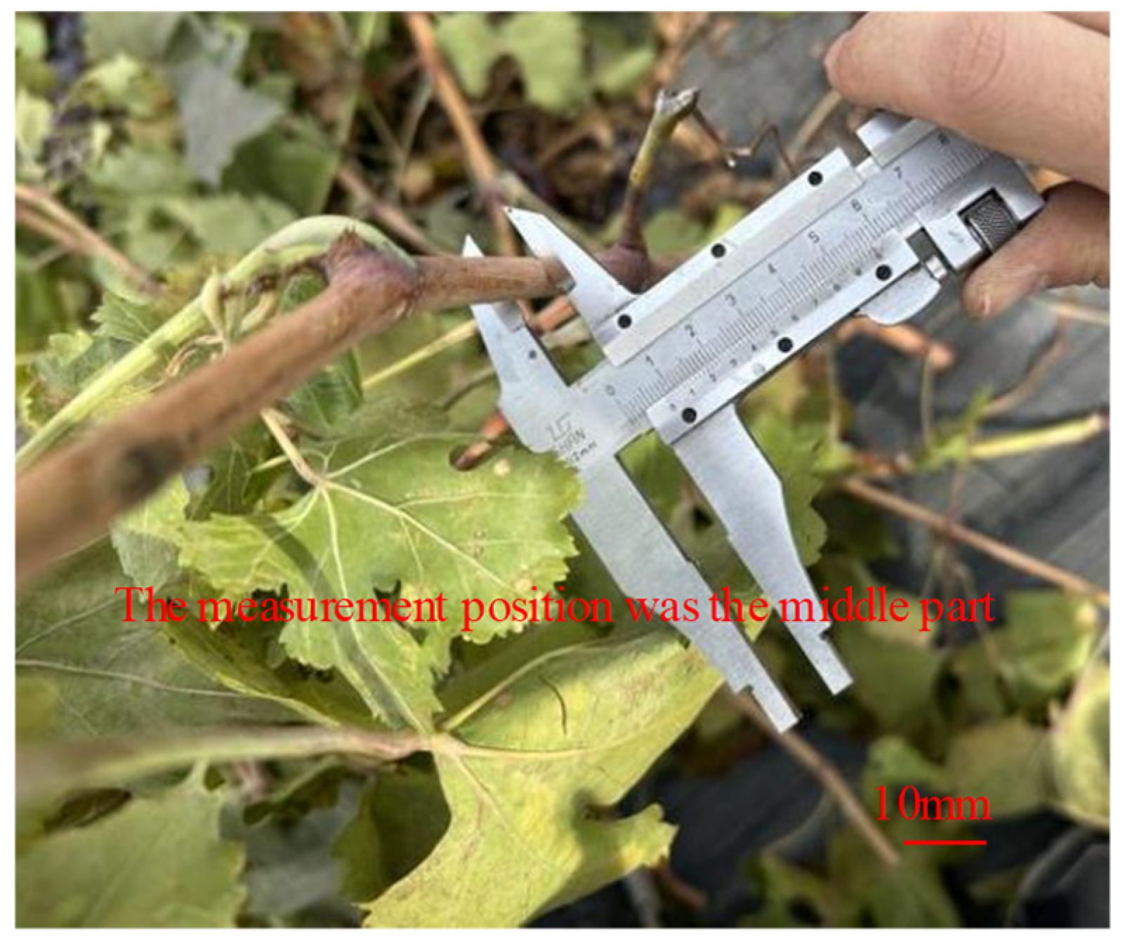 Agriengineering 07 00402 g001