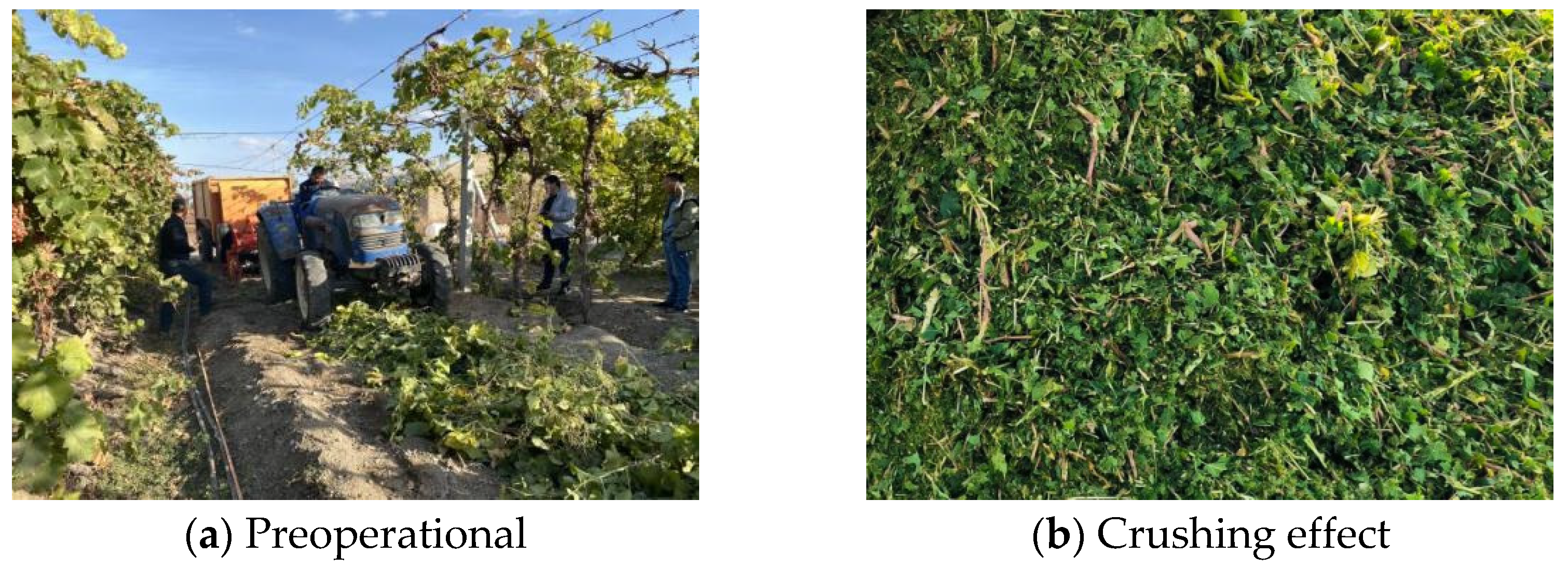 Agriengineering 07 00402 g010